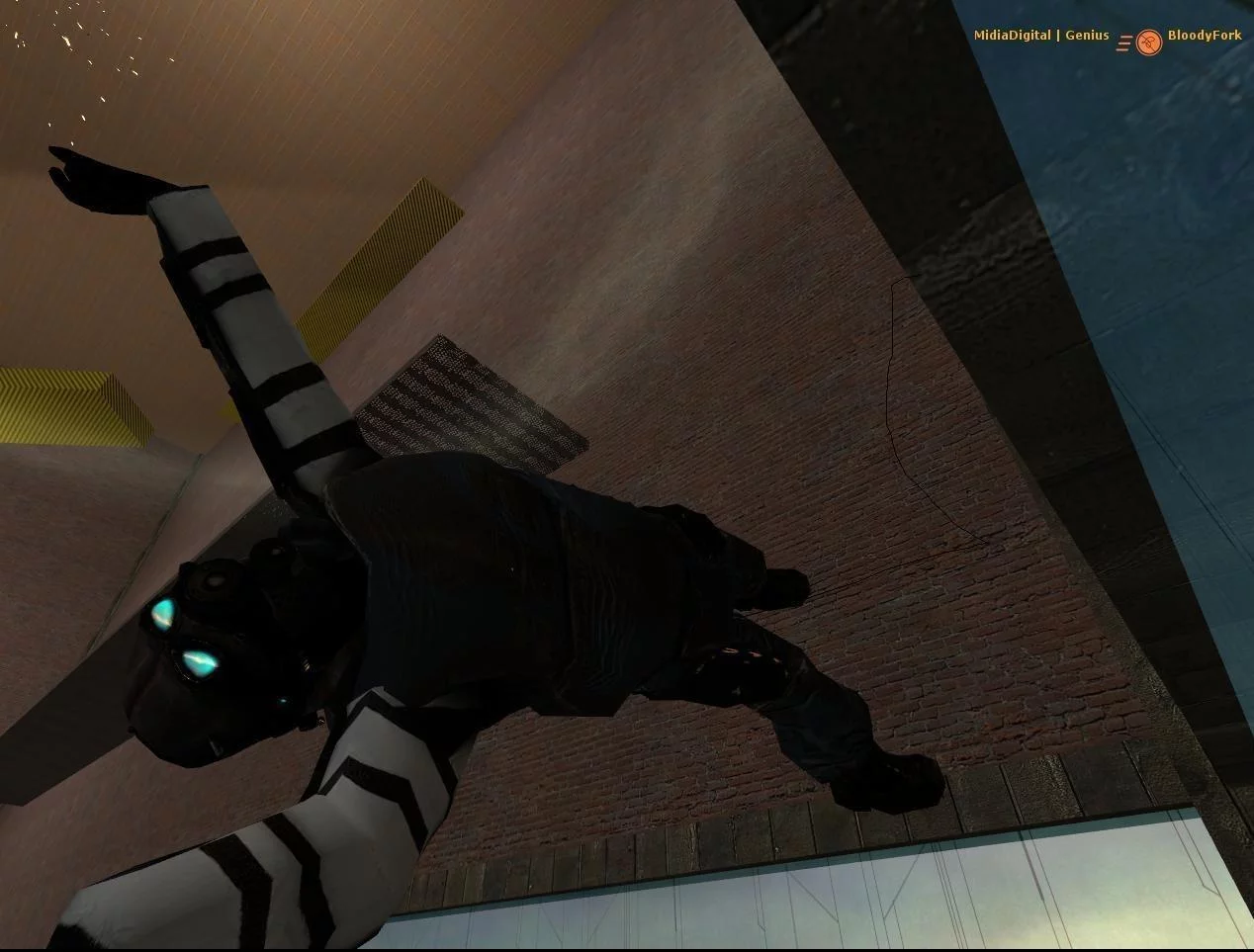 Изображение игры: Half-Life 2: Deathmatch