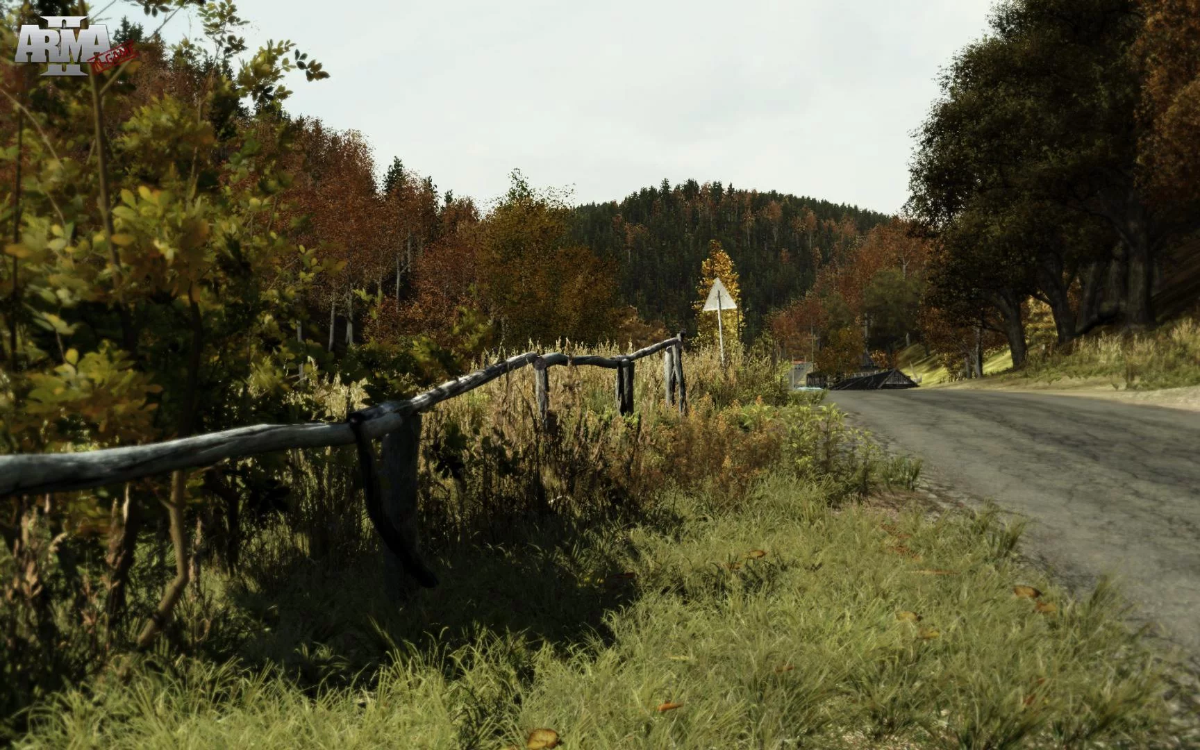 Изображение игры: Arma 2