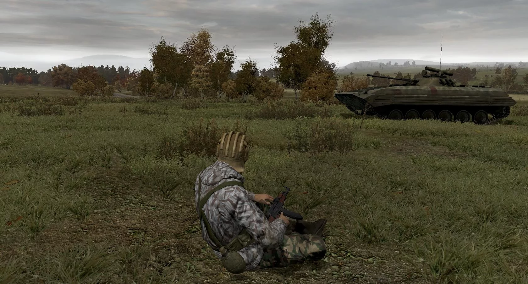 Изображение игры: Arma 2