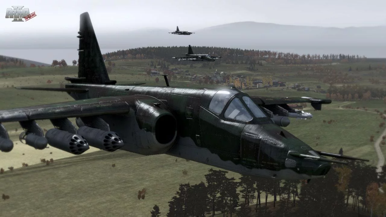 Изображение игры: Arma 2