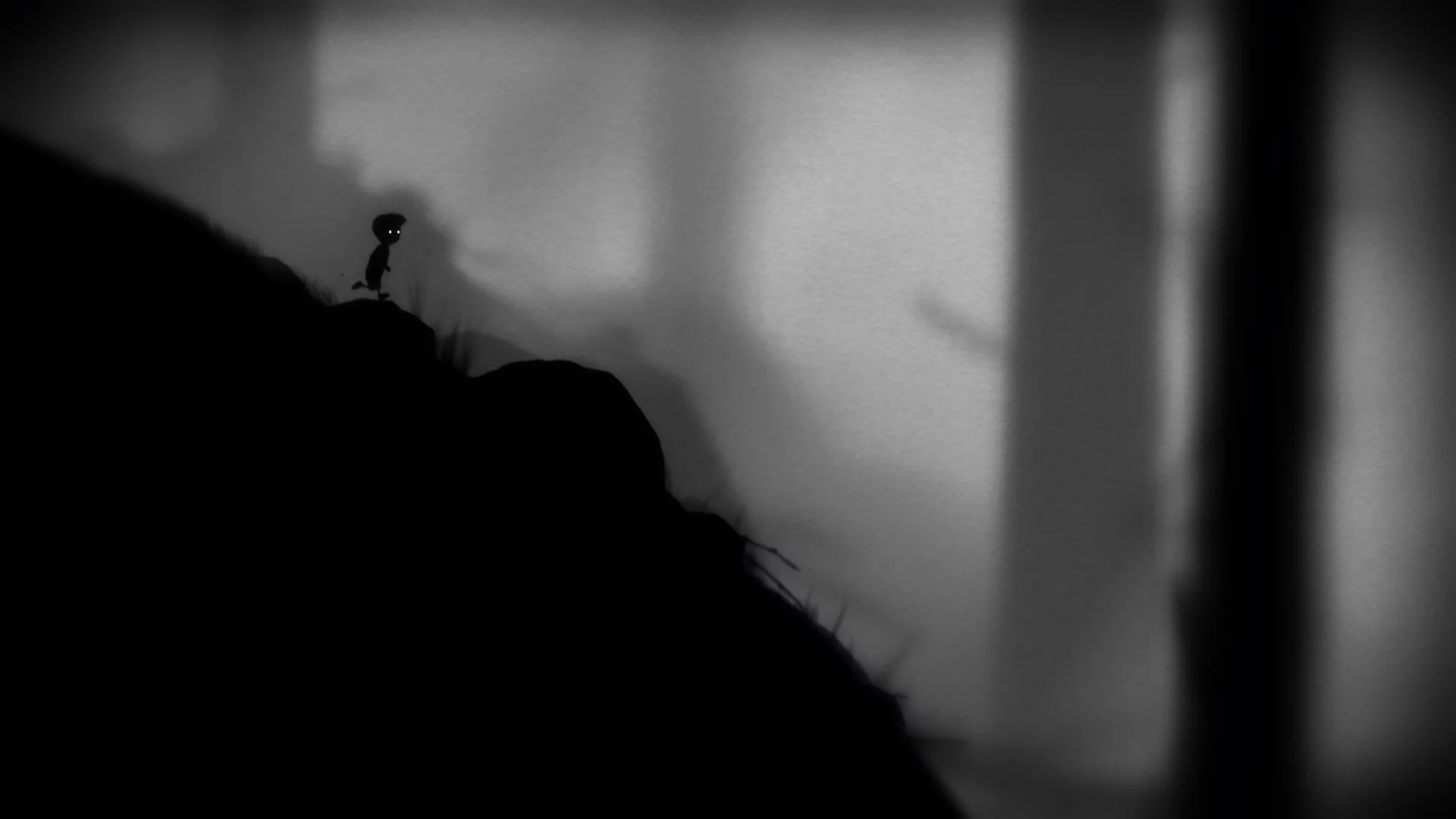 Изображение игры: LIMBO