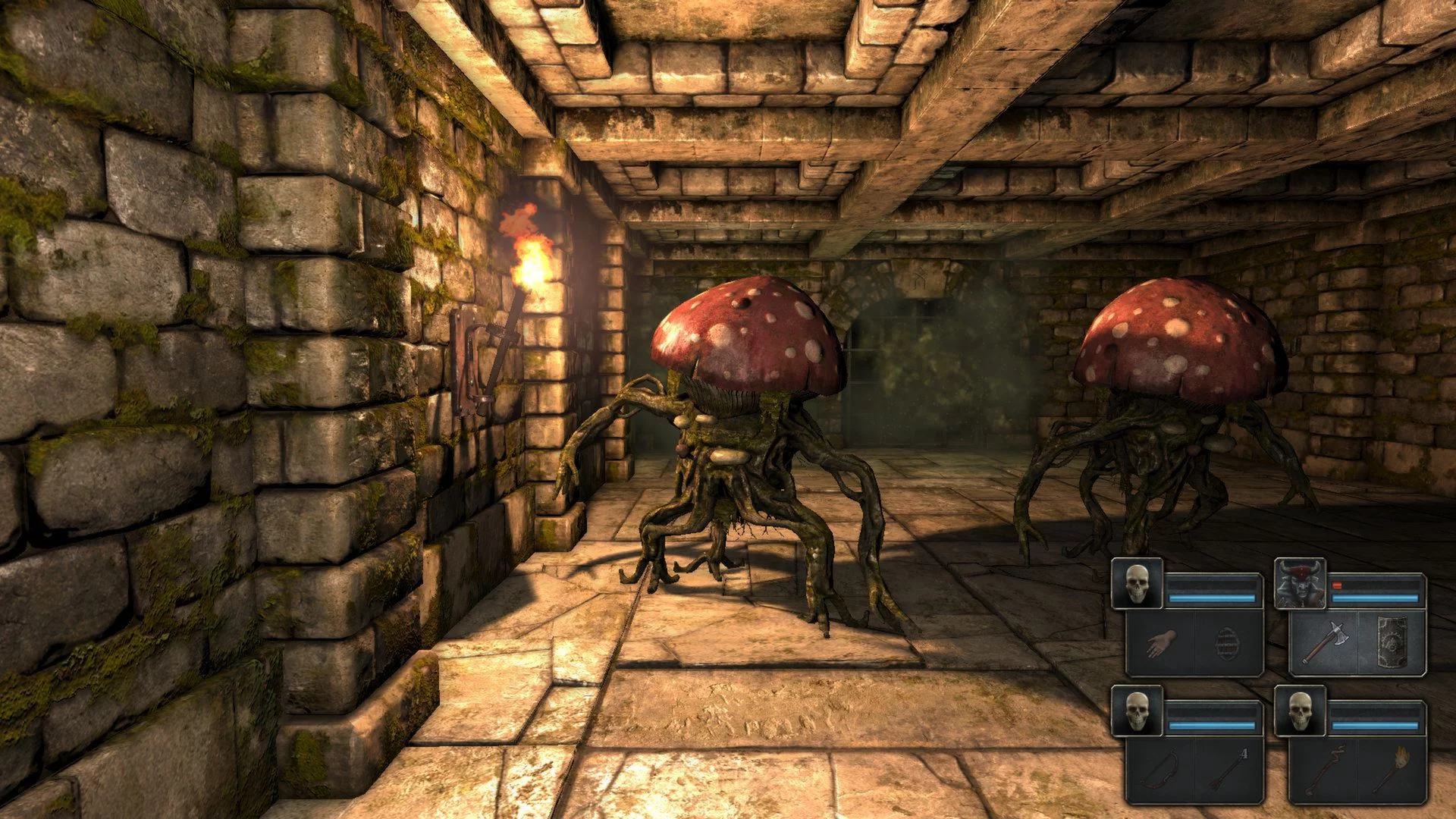 Изображение игры: Legend of Grimrock