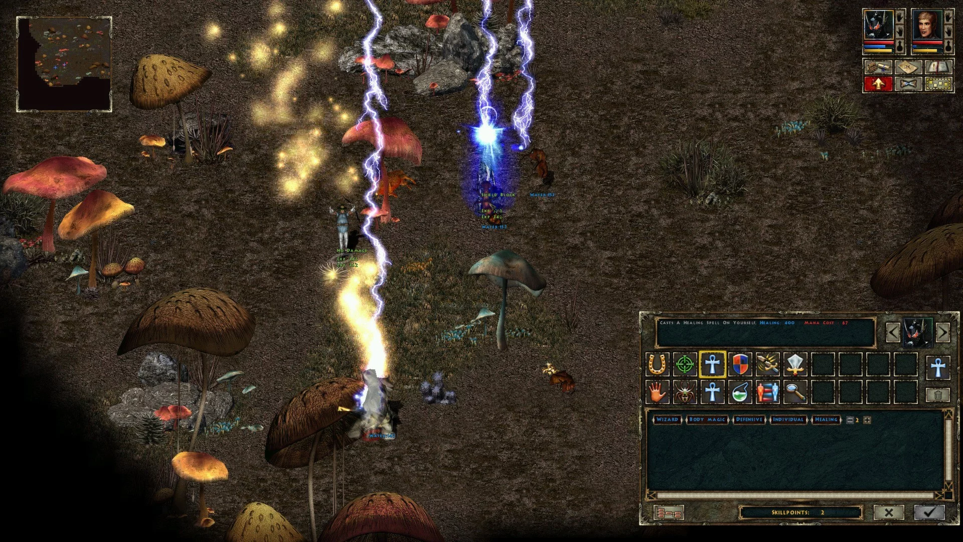 Изображение игры: Beyond Divinity