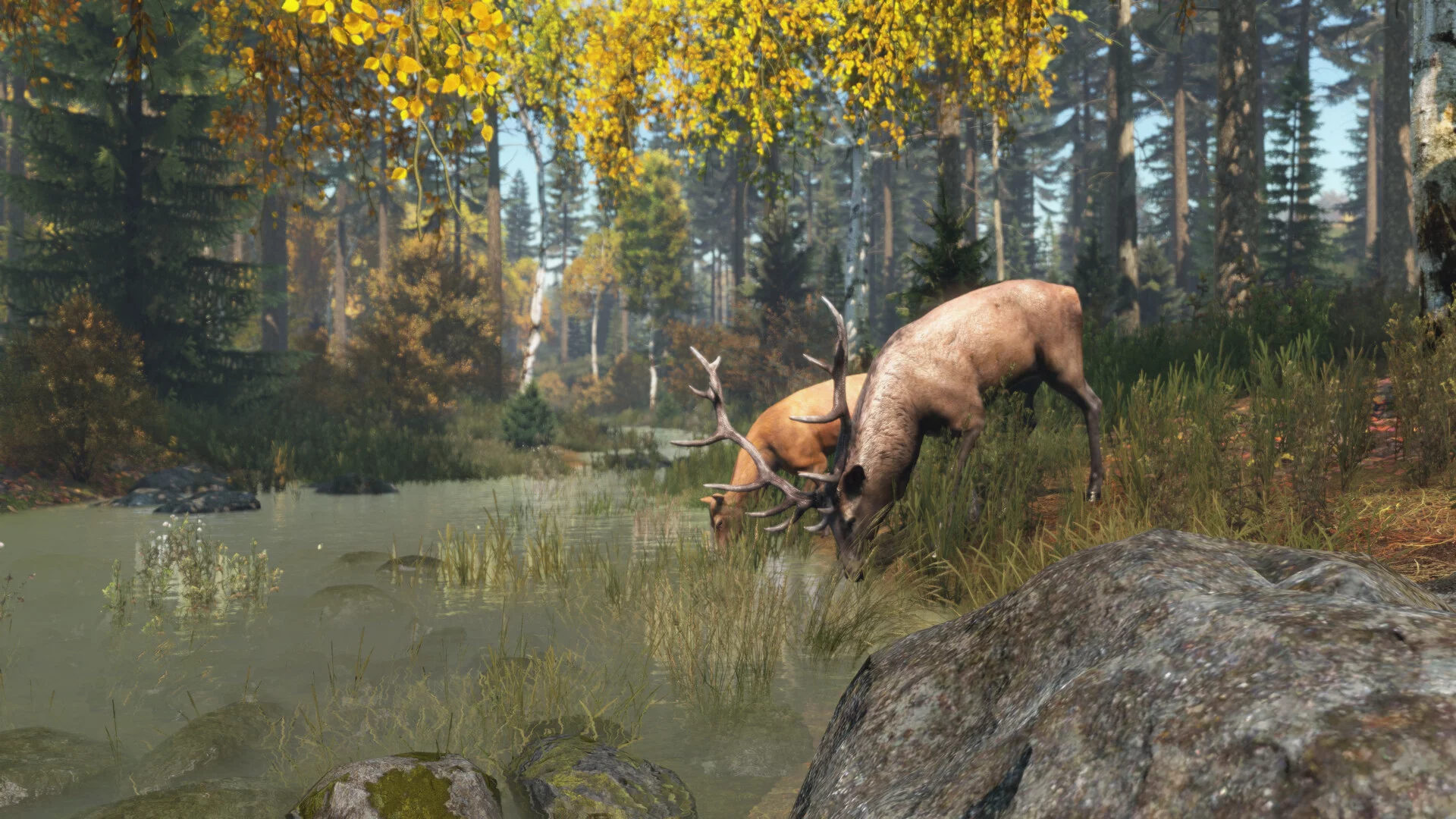 Изображение игры: DayZ