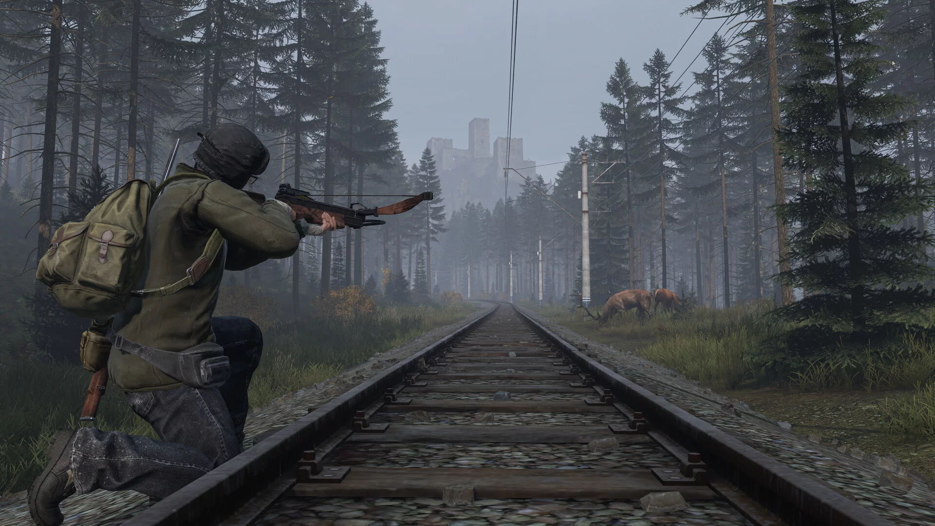 Изображение игры: DayZ