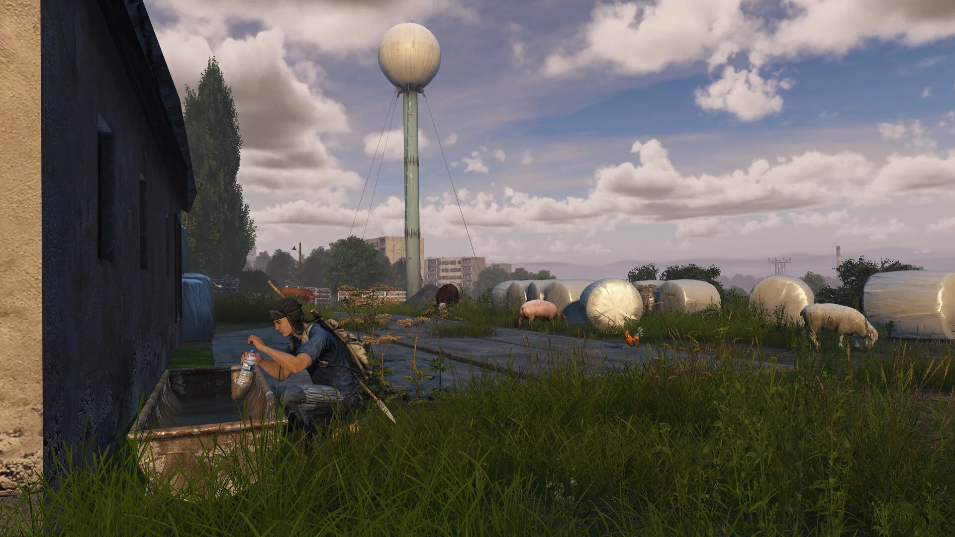 Изображение игры: DayZ