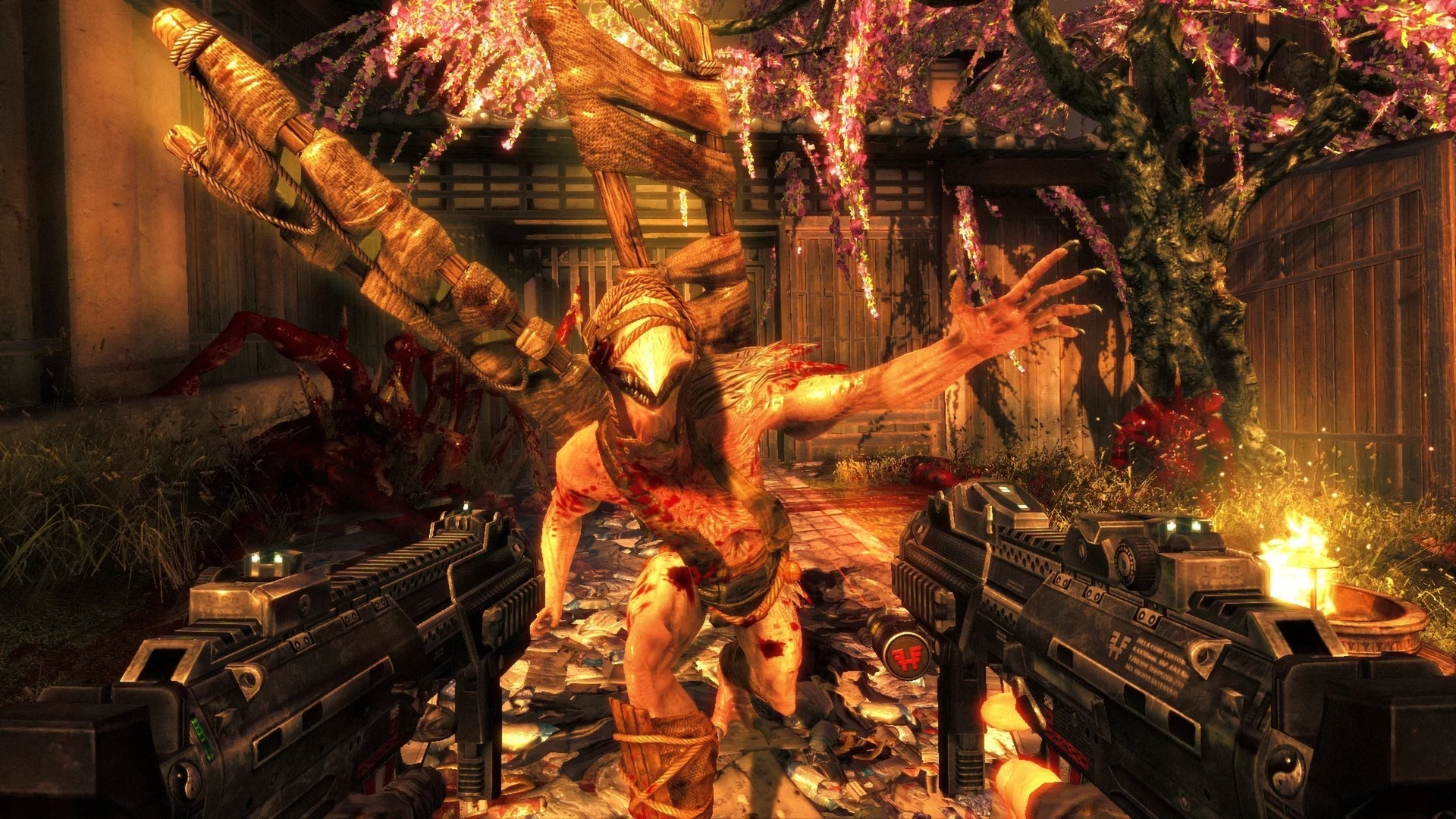 Изображение игры: Shadow Warrior
