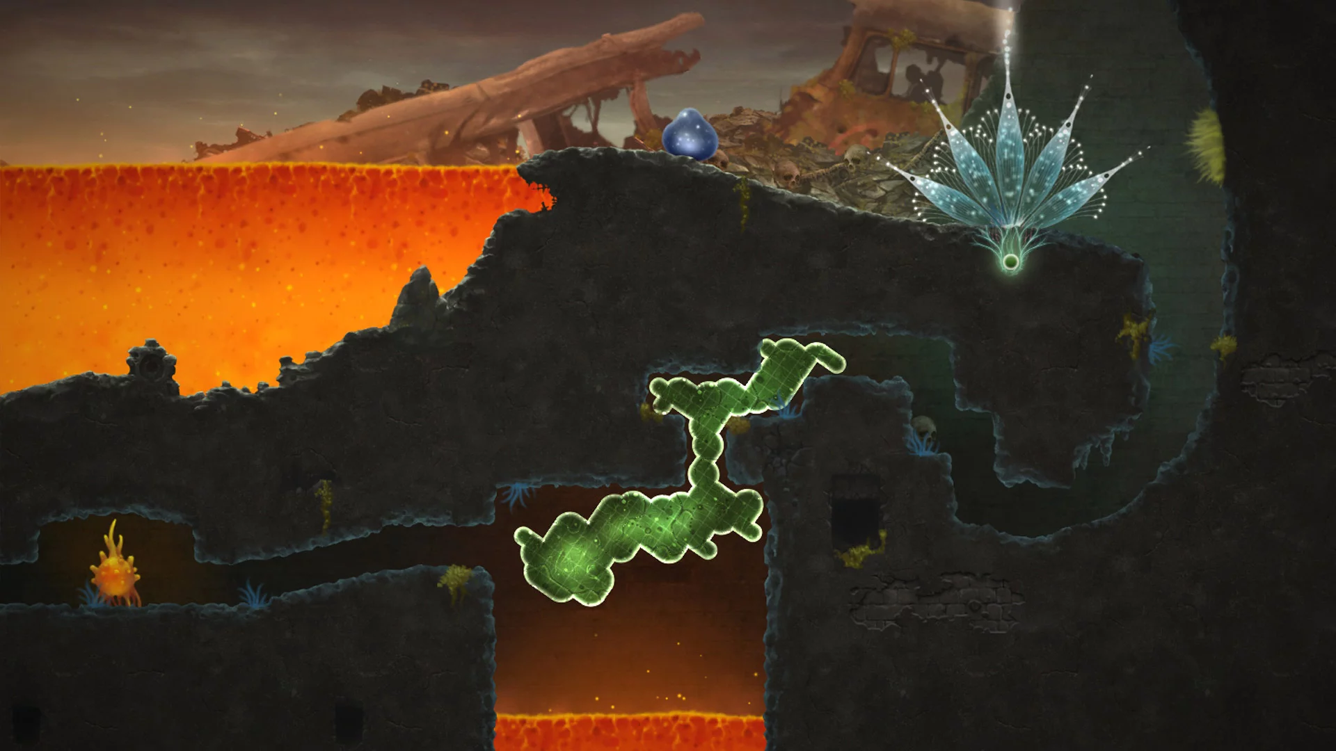 Изображение игры: Mushroom 11