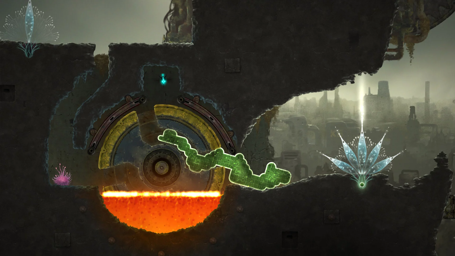 Изображение игры: Mushroom 11