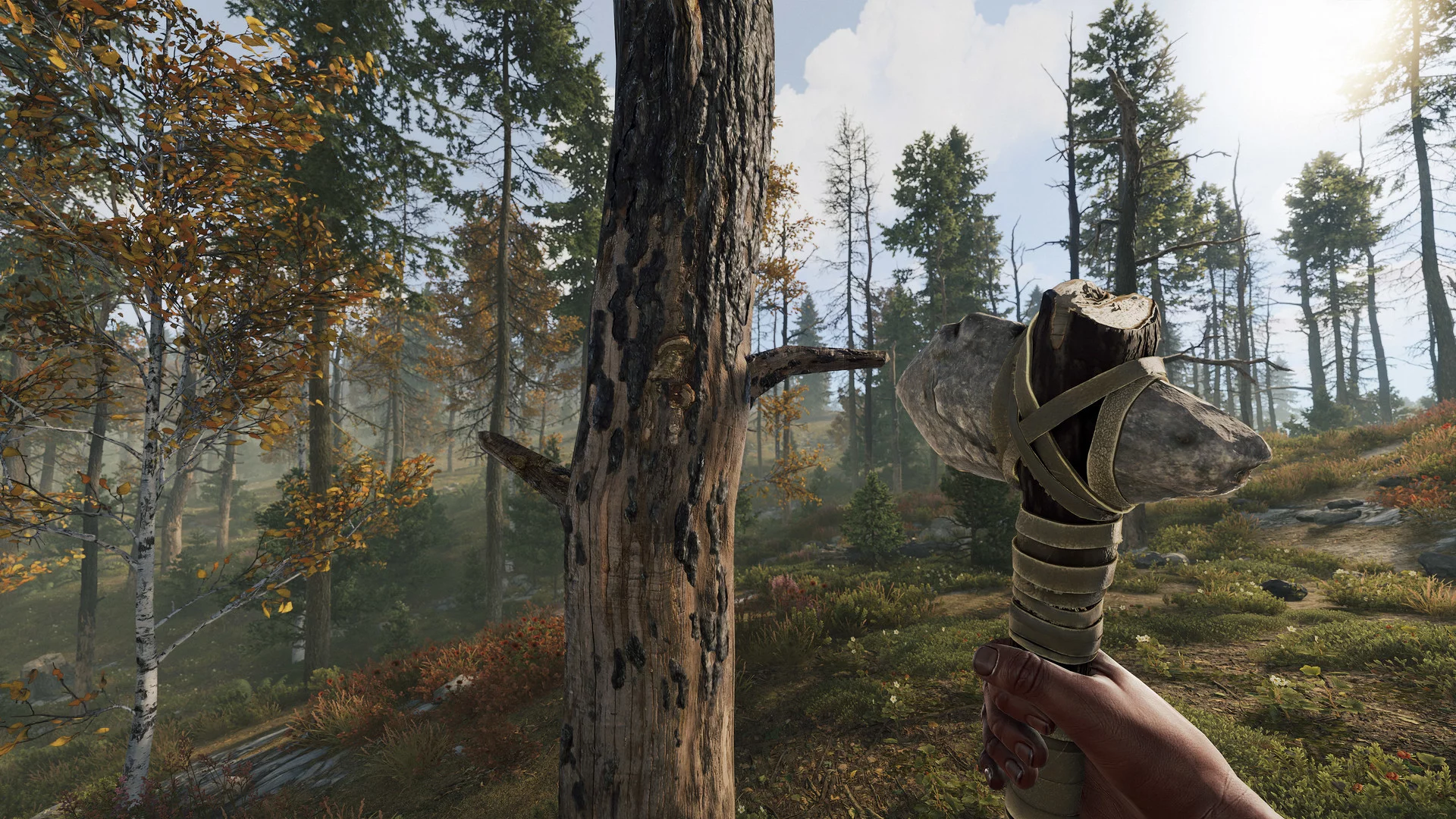 Изображение игры: Rust
