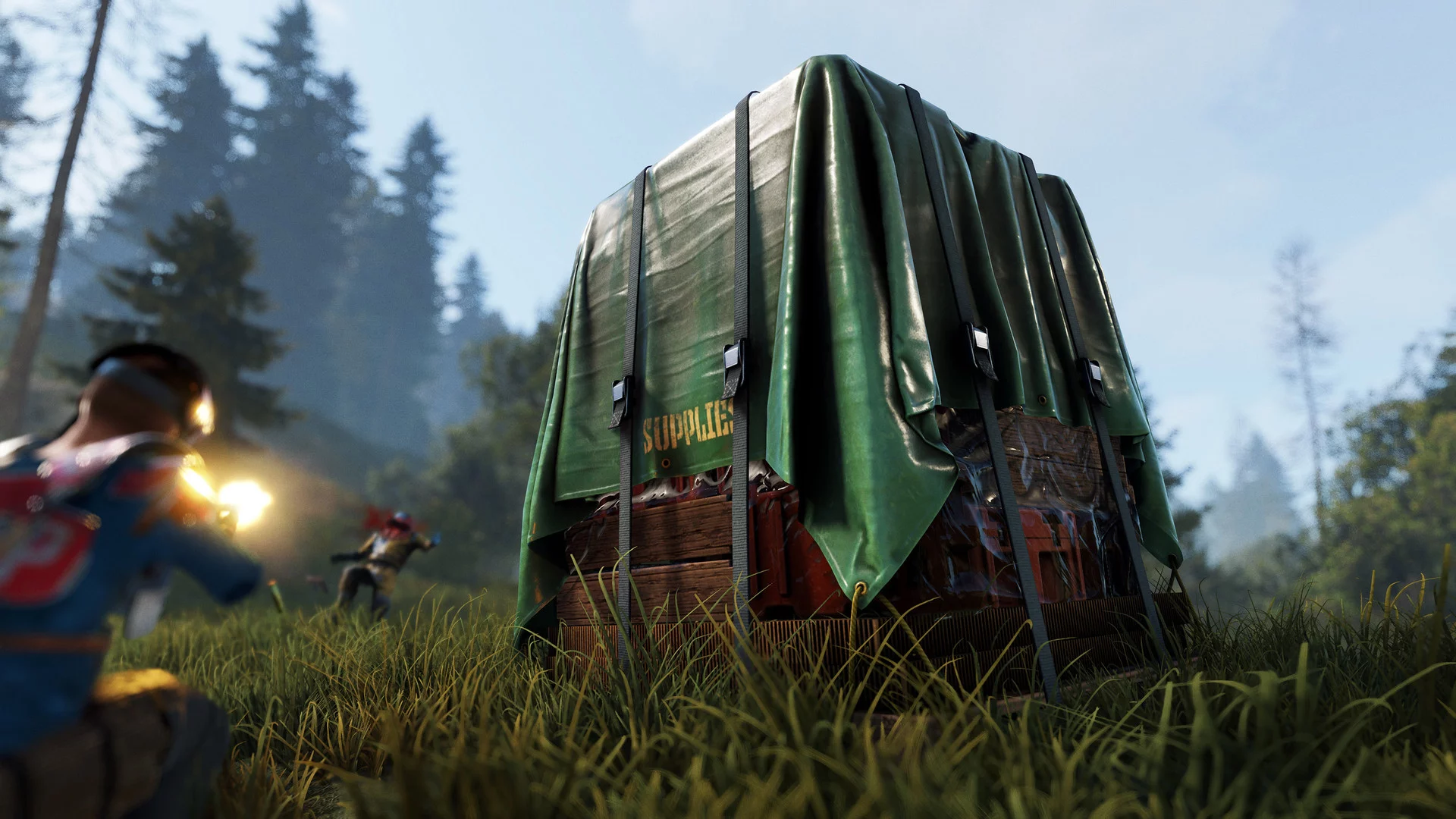 Изображение игры: Rust