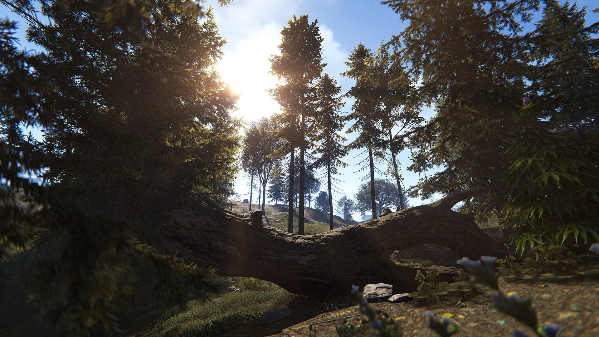 Изображение игры: Rust