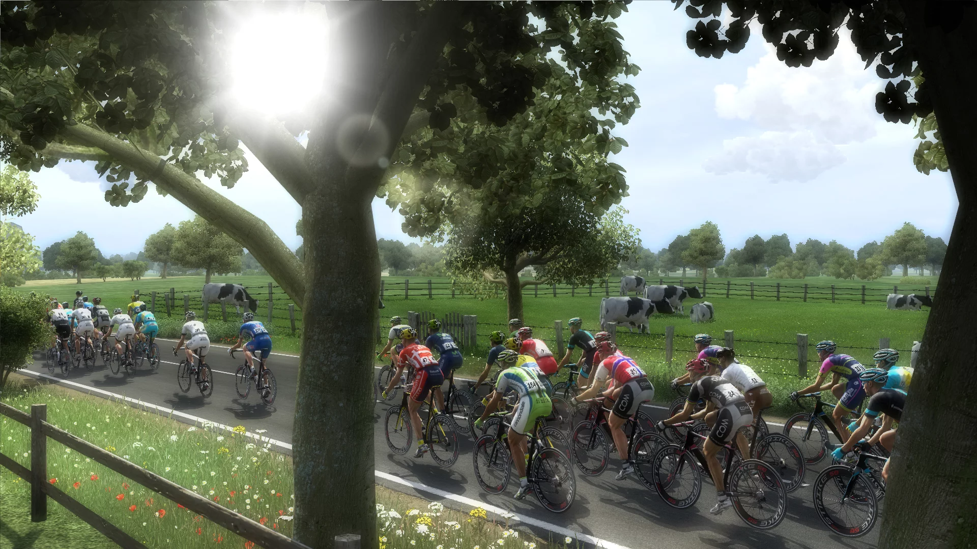 Изображение игры: Pro Cycling Manager 2014