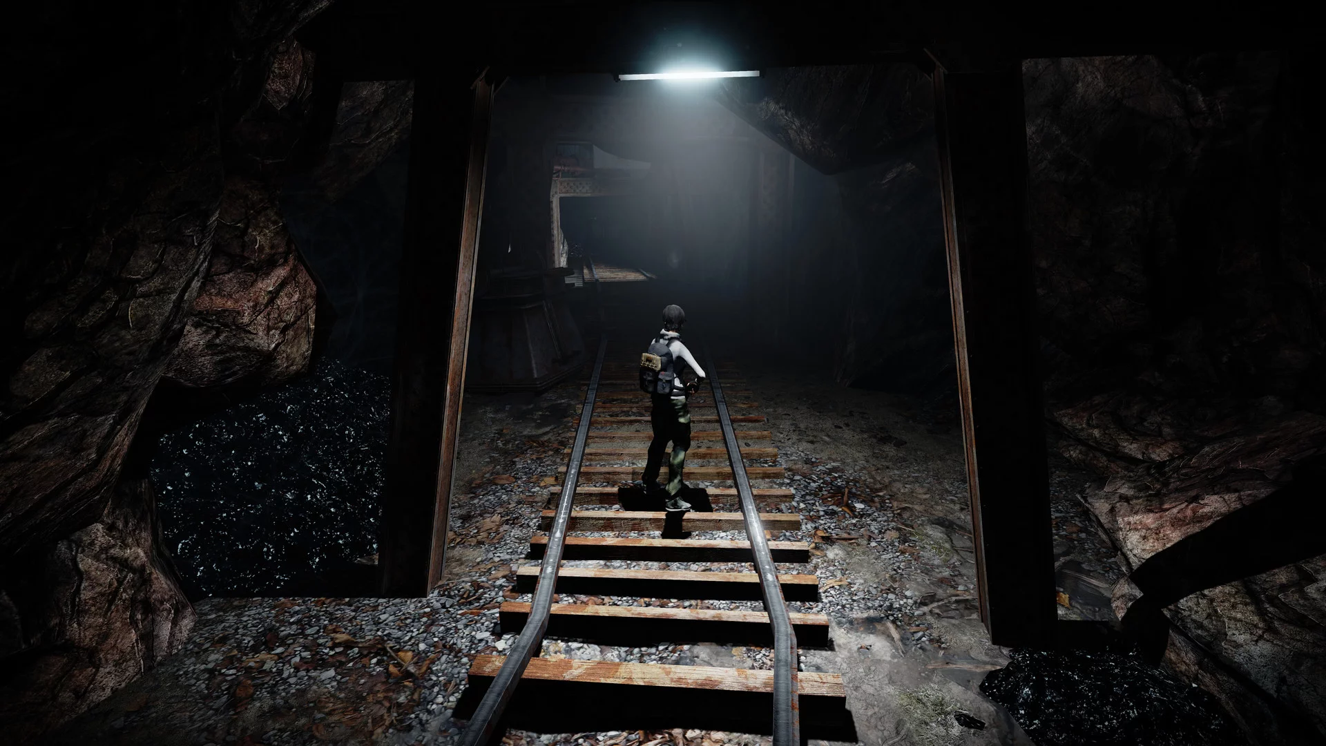 Изображение игры: Alone in the Dark: Illumination™