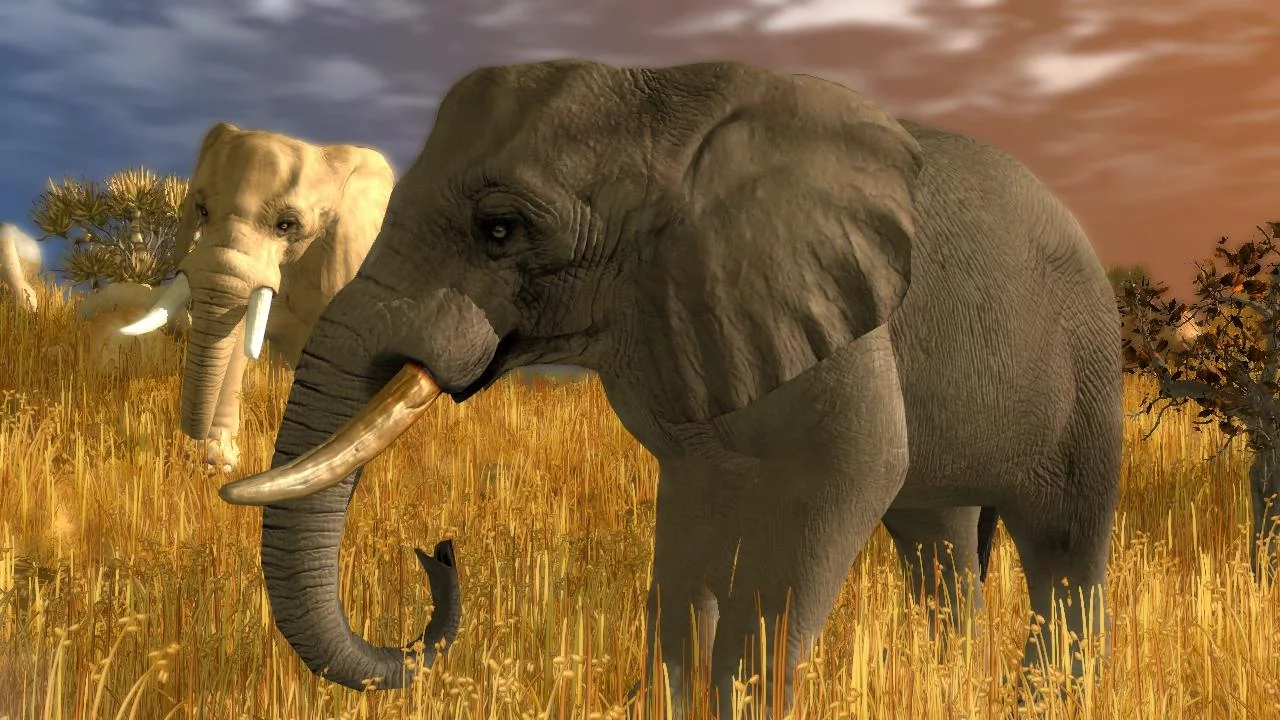 Изображение игры: Wildlife Park 3