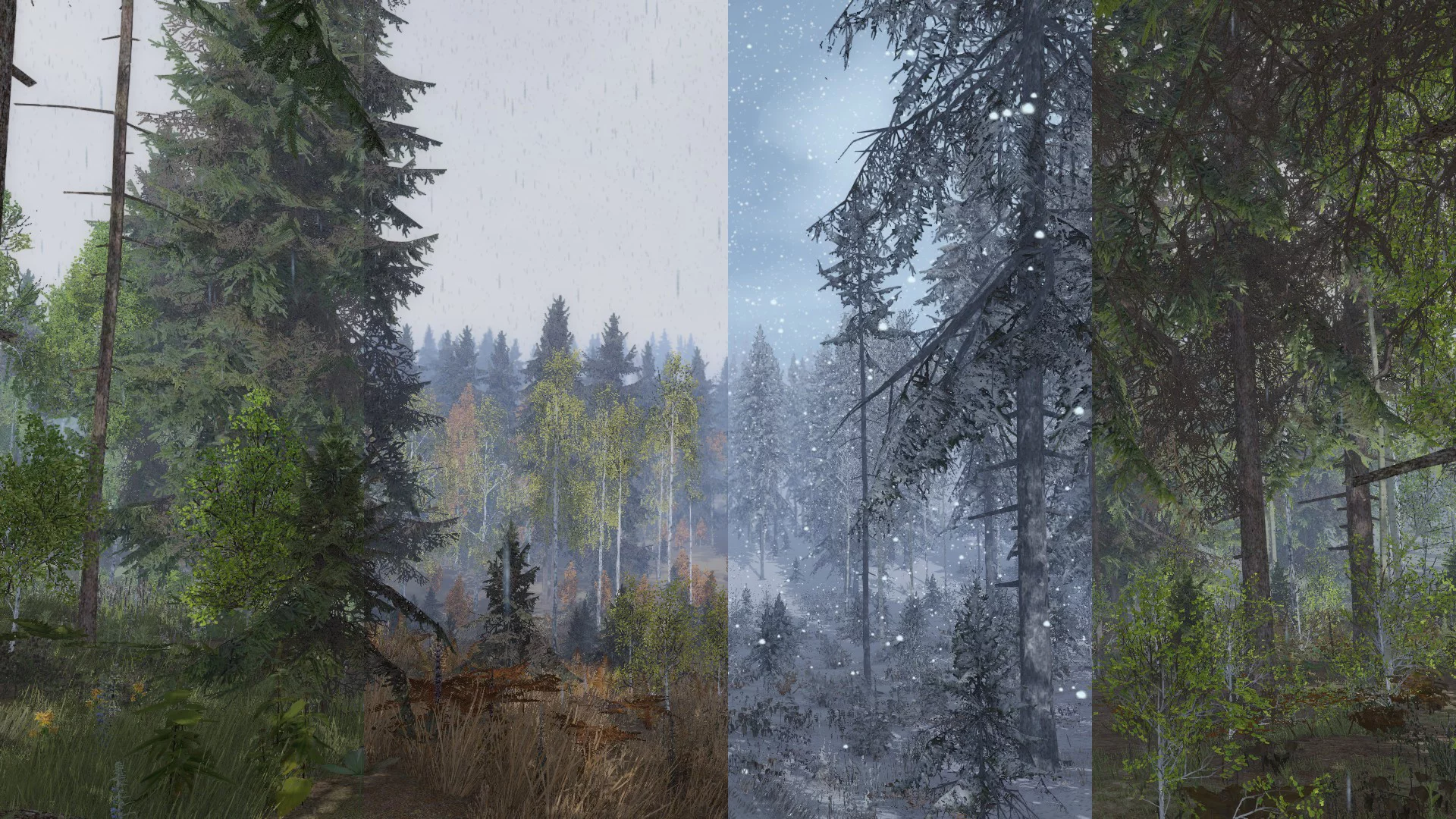 Изображение игры: Life is Feudal: Your Own