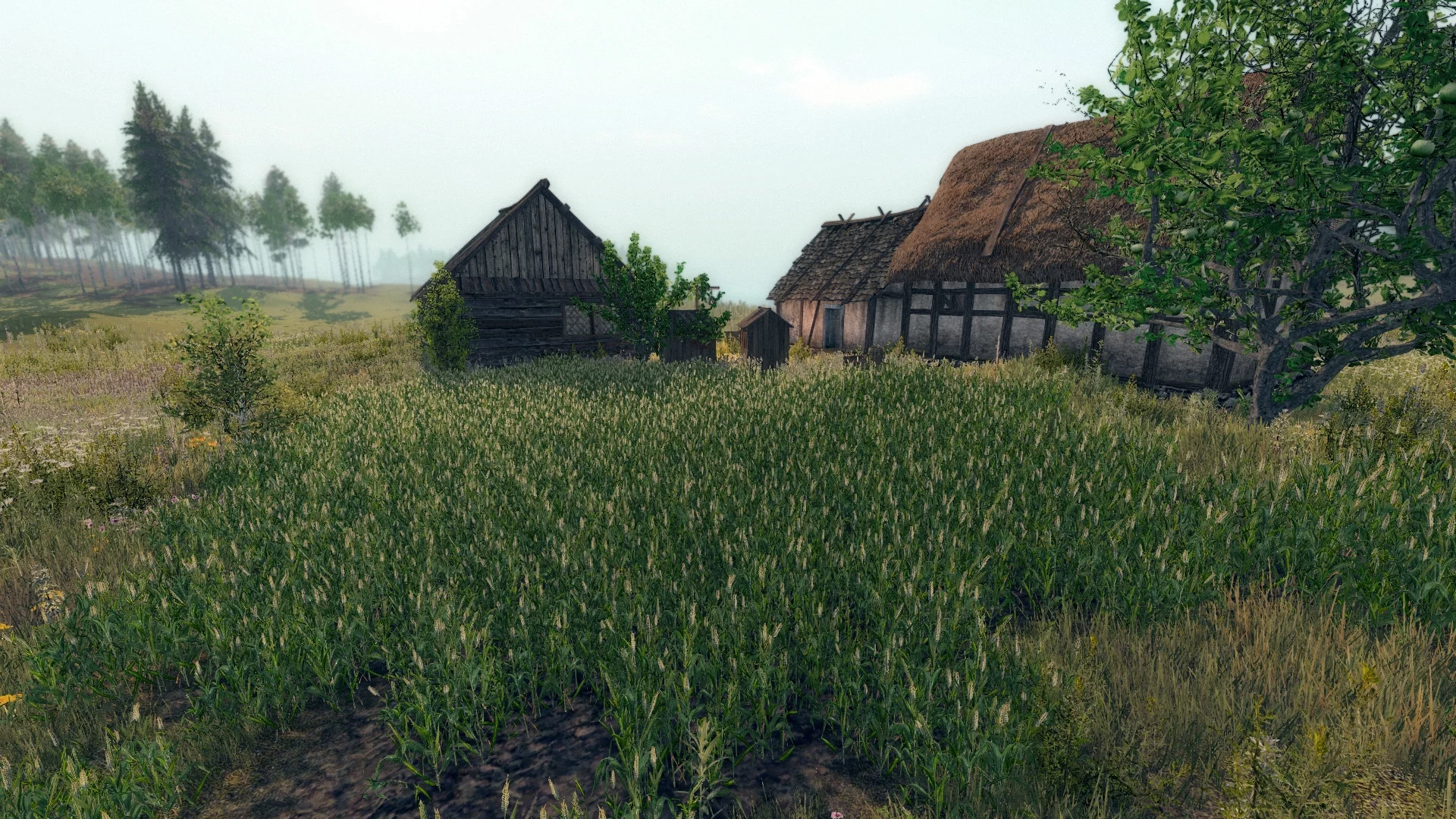 Изображение игры: Life is Feudal: Your Own