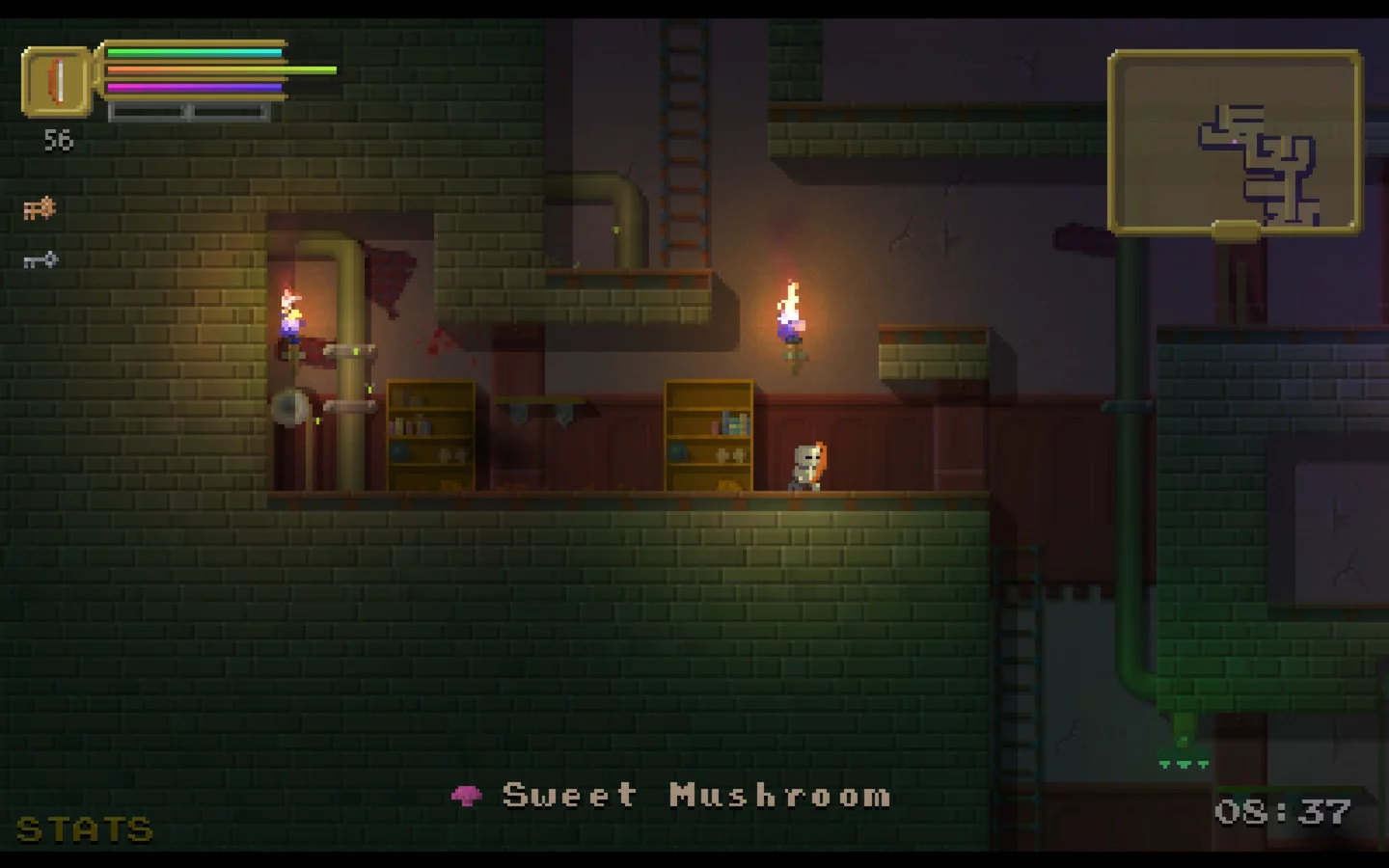 Изображение игры: The Dungeoning