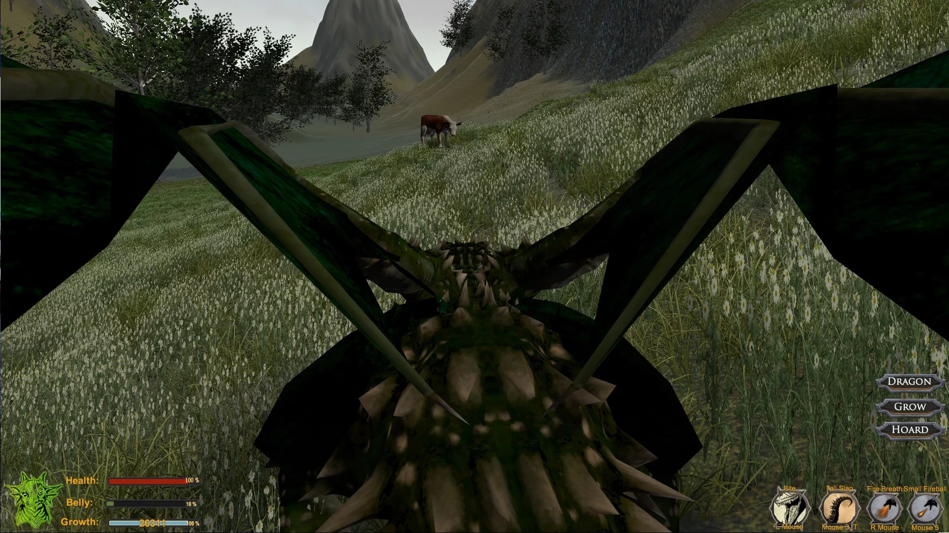 Изображение игры: Dragon: The Game