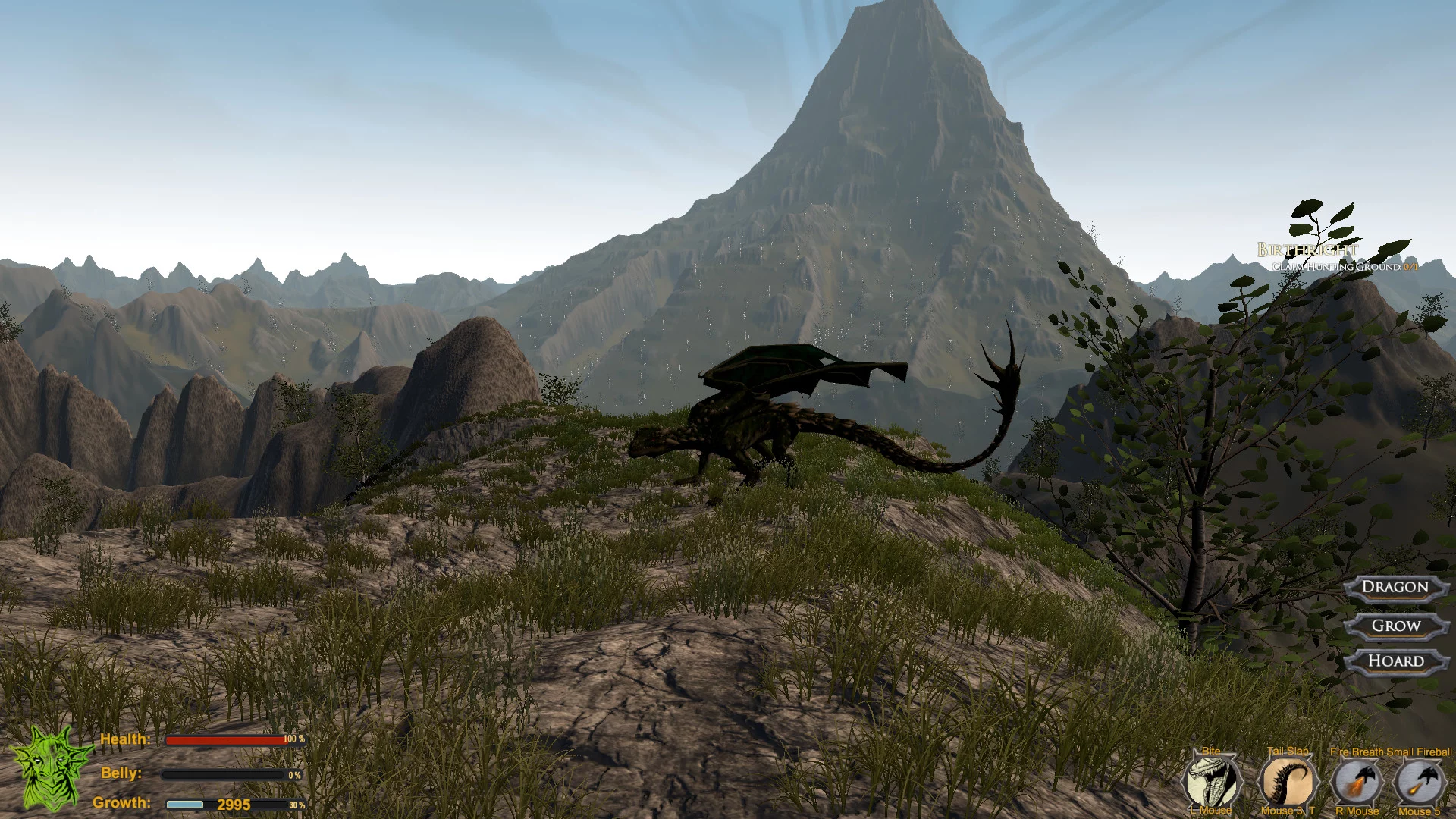 Изображение игры: Dragon: The Game