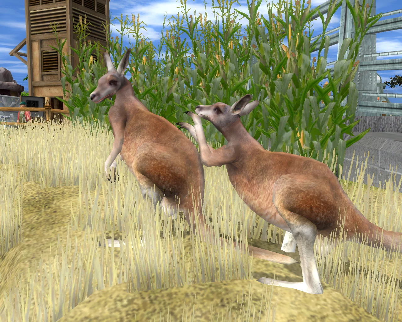 Изображение игры: Wildlife Park 2 - Crazy Zoo