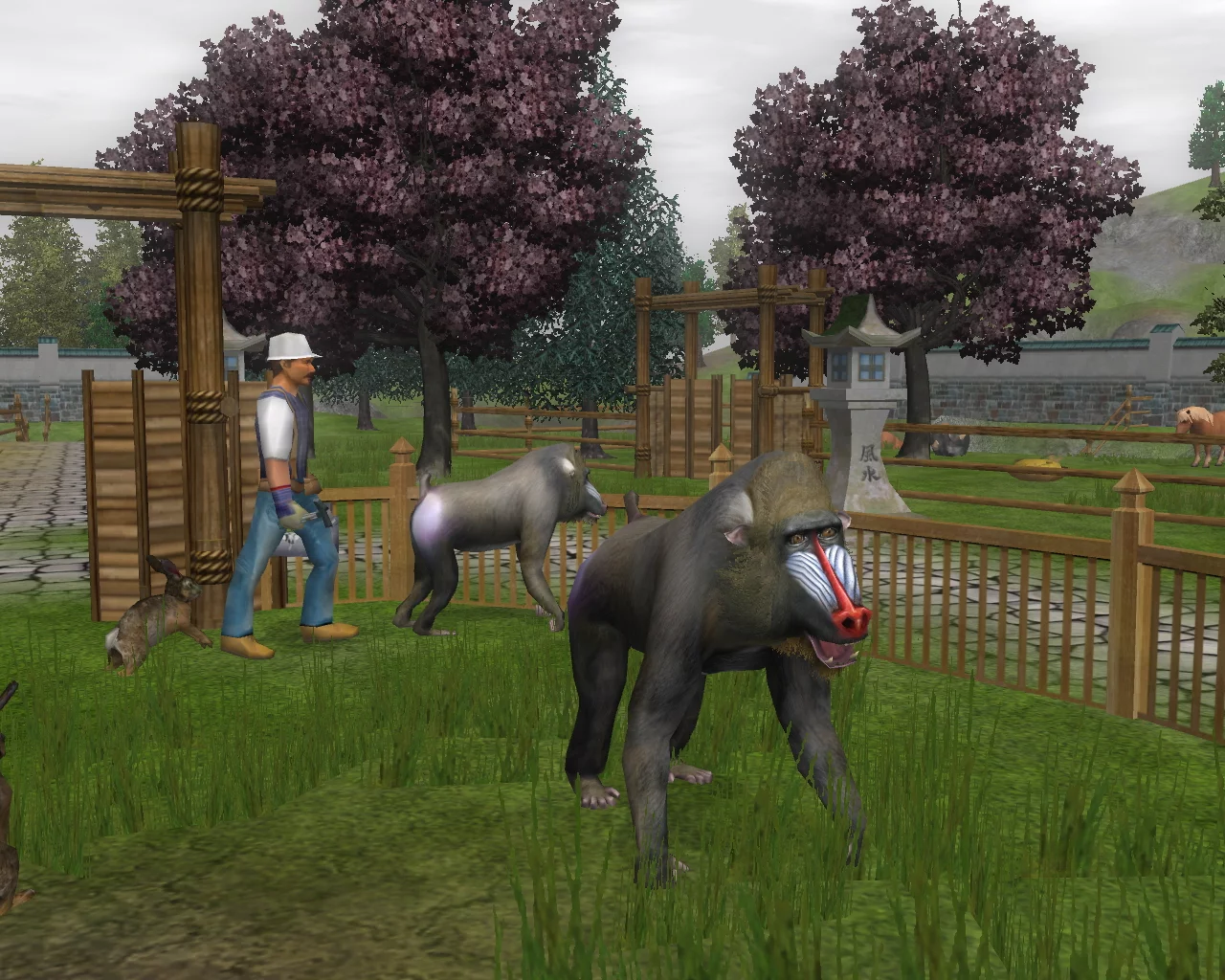 Изображение игры: Wildlife Park 2 - Crazy Zoo