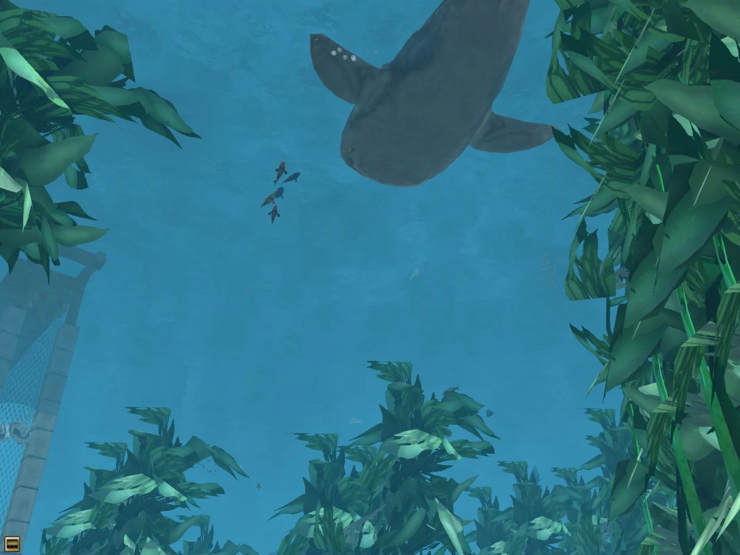 Изображение игры: Wildlife Park 2 - Marine World