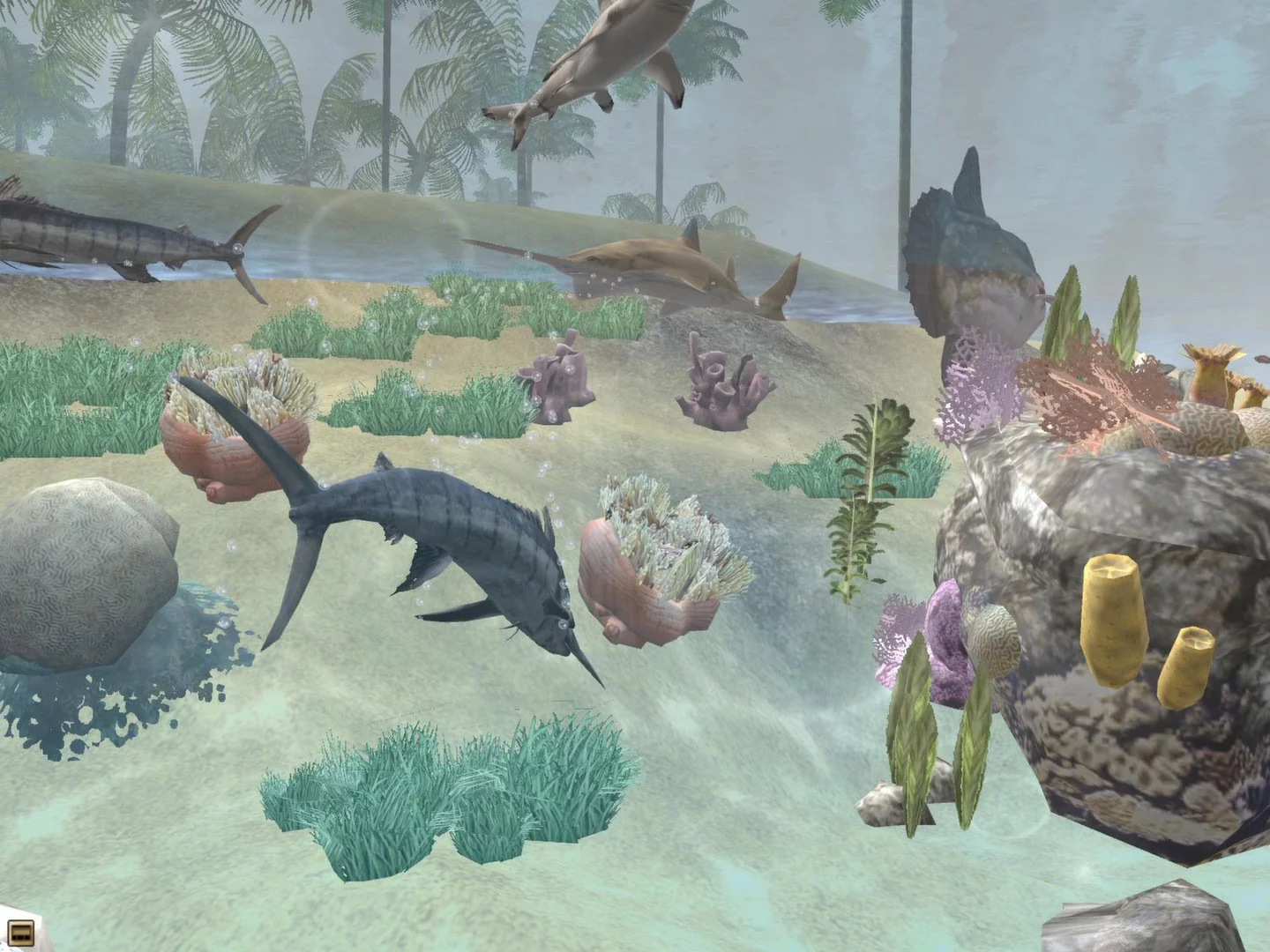 Изображение игры: Wildlife Park 2 - Marine World