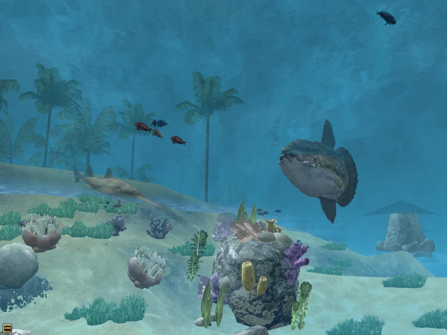 Изображение игры: Wildlife Park 2 - Marine World