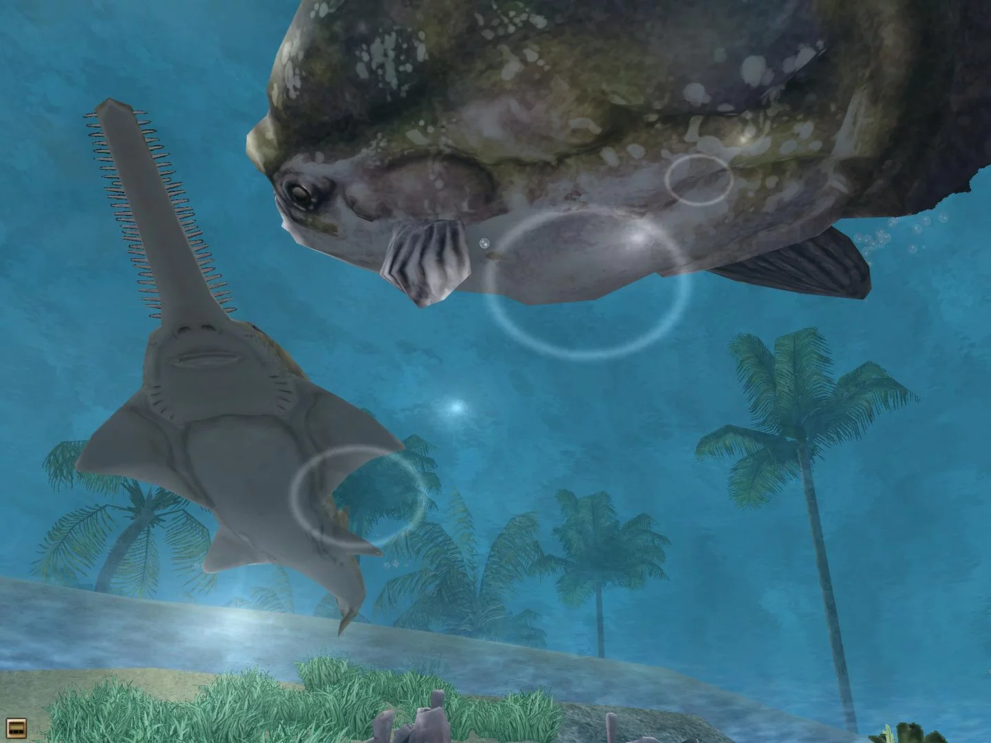 Изображение игры: Wildlife Park 2 - Marine World