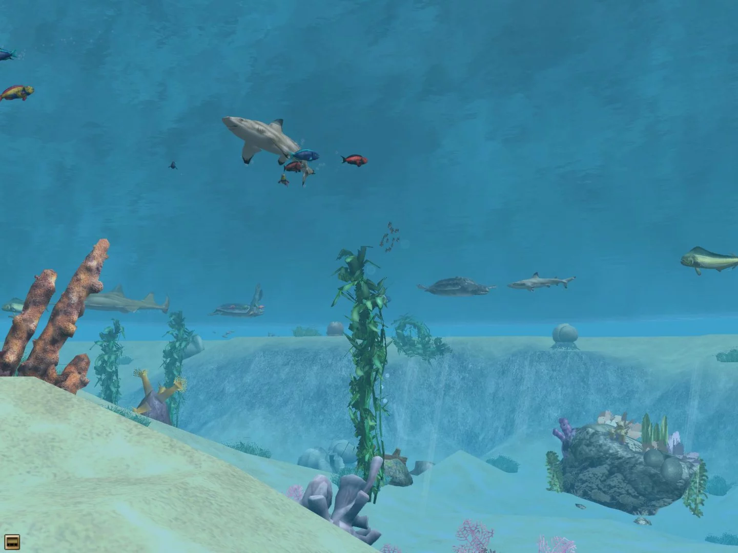 Изображение игры: Wildlife Park 2 - Marine World