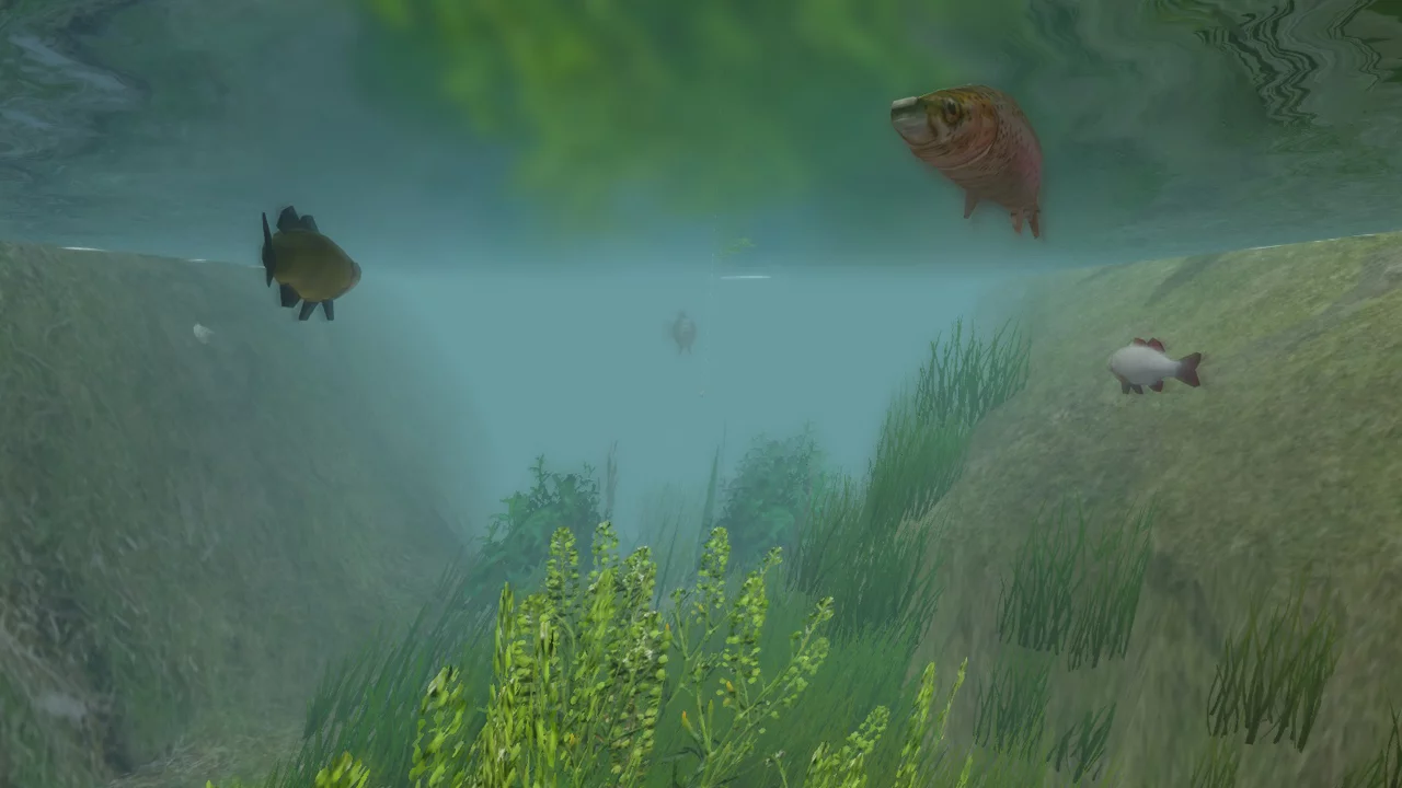 Изображение игры: European Fishing