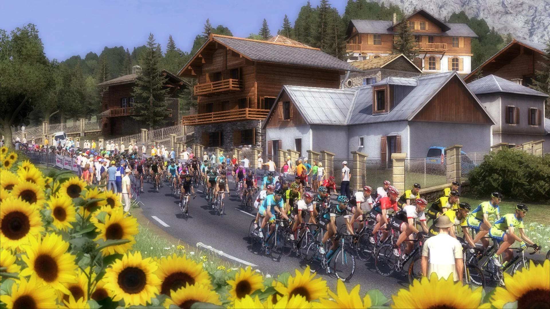 Изображение игры: Pro Cycling Manager 2015