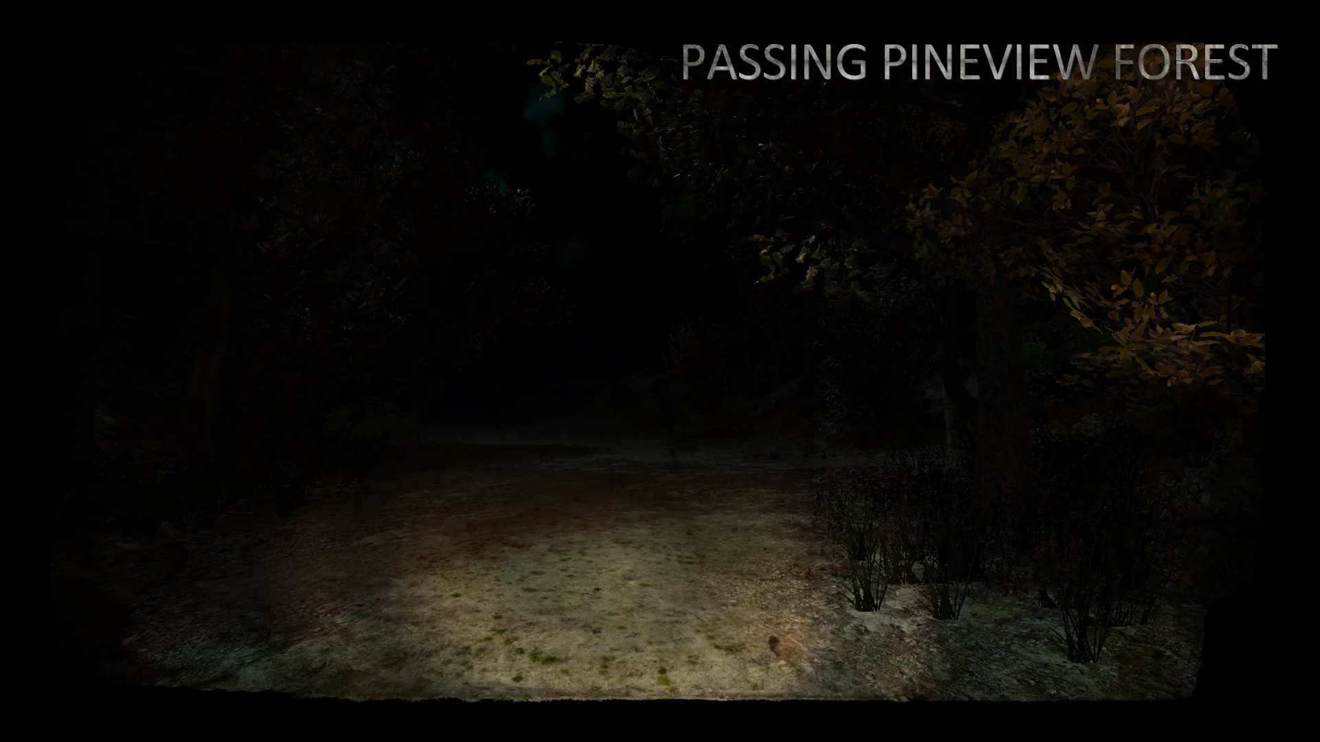 Изображение игры: Passing Pineview Forest