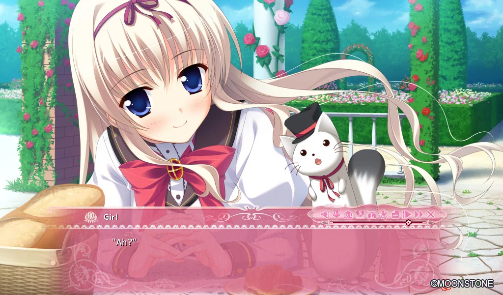 Изображение игры: Princess Evangile All Ages Version