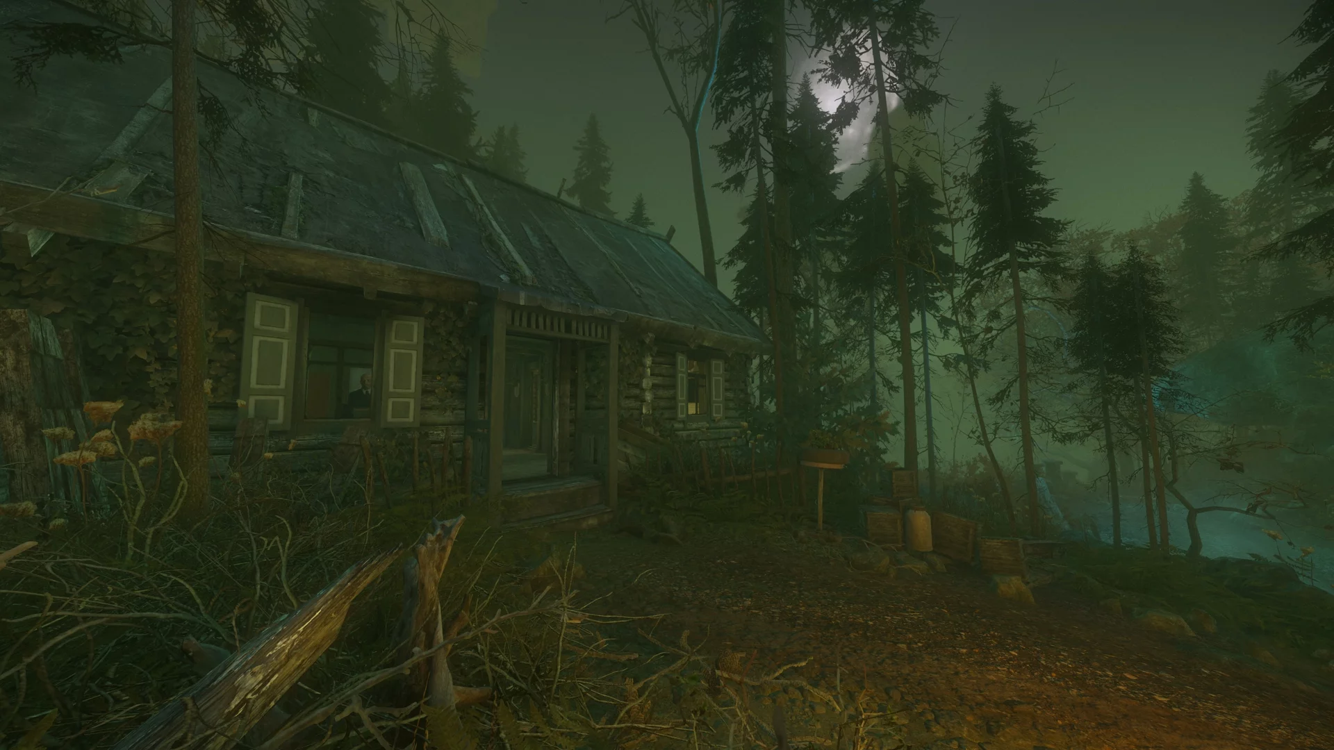 Изображение игры: The Cursed Forest