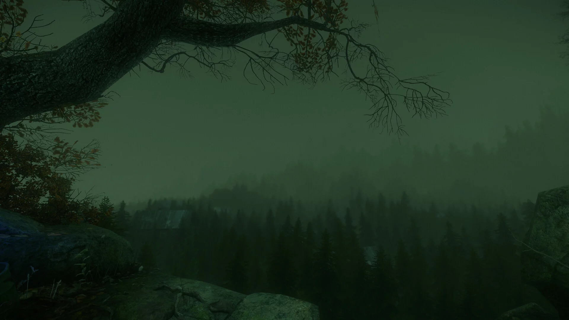 Изображение игры: The Cursed Forest