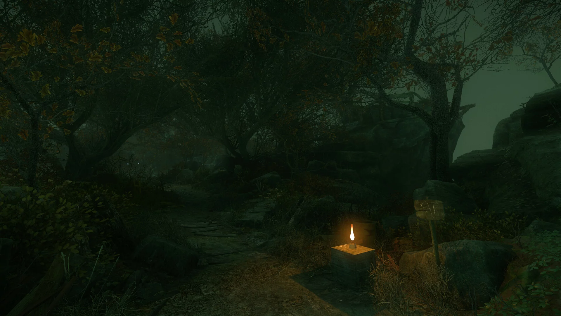 Изображение игры: The Cursed Forest