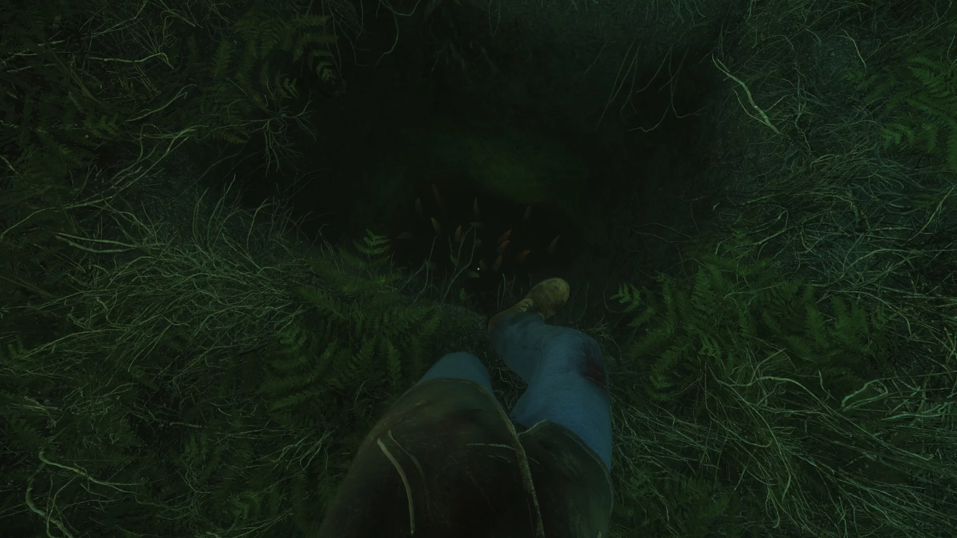 Изображение игры: The Cursed Forest