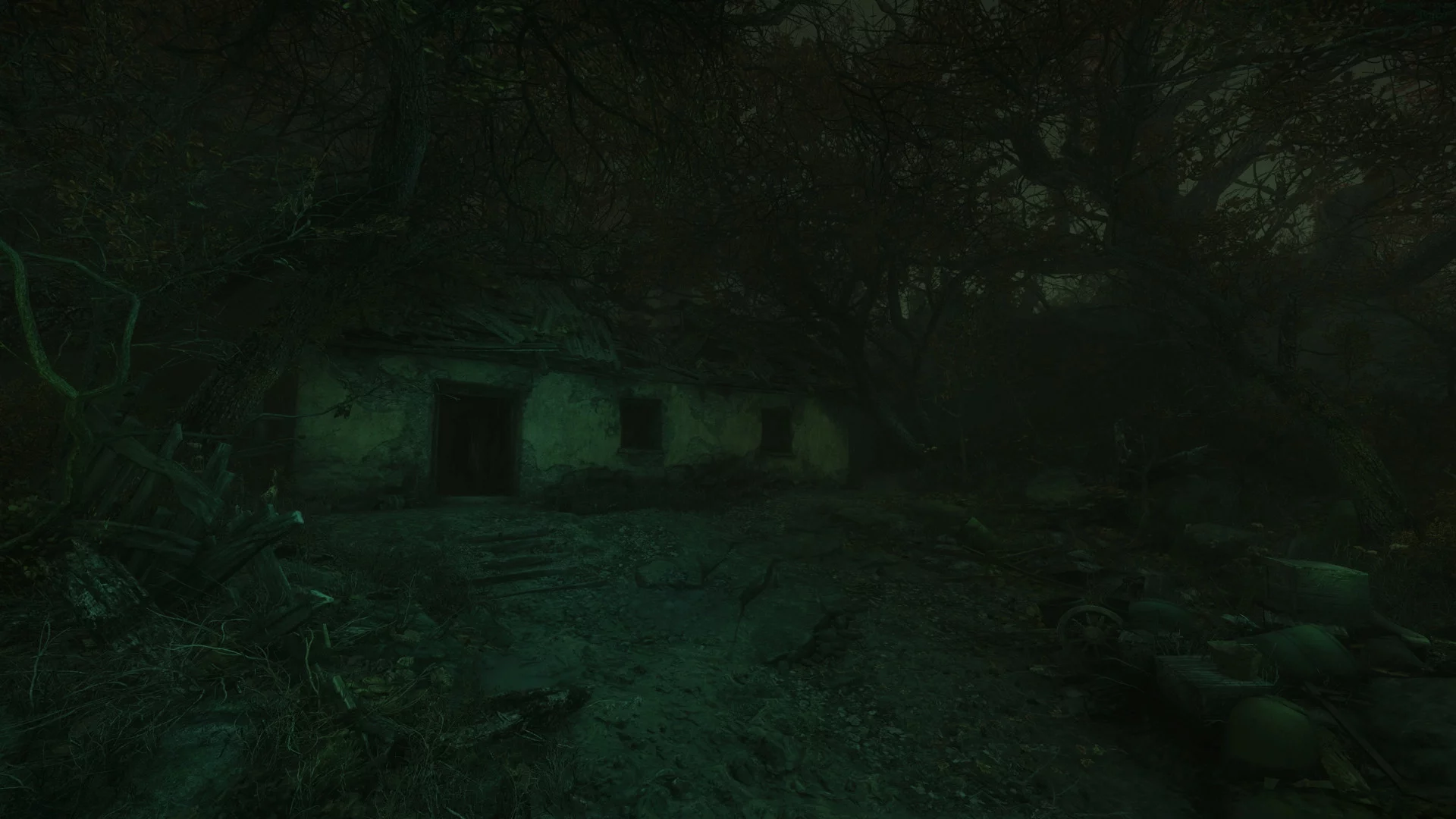 Изображение игры: The Cursed Forest