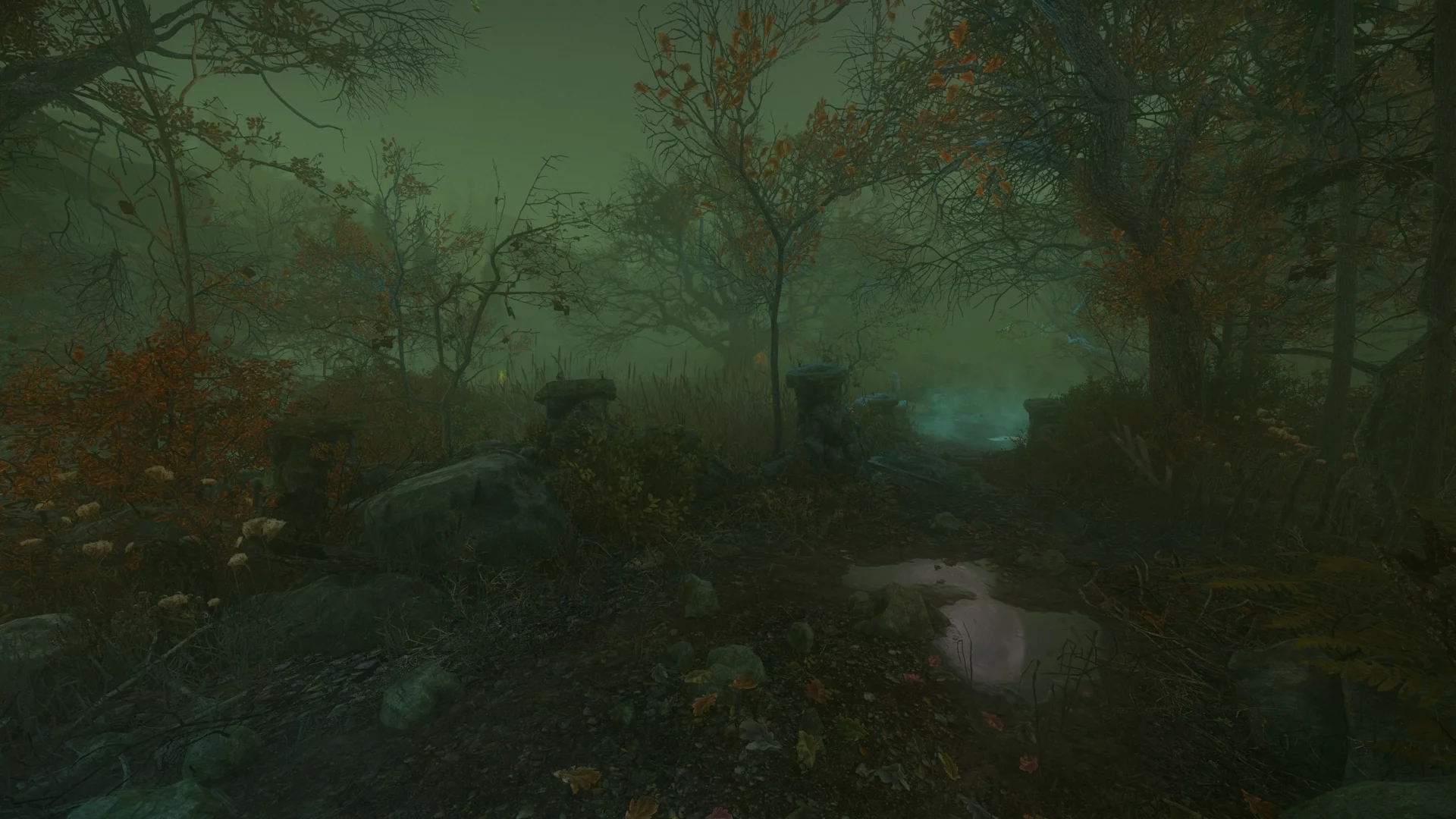 Изображение игры: The Cursed Forest