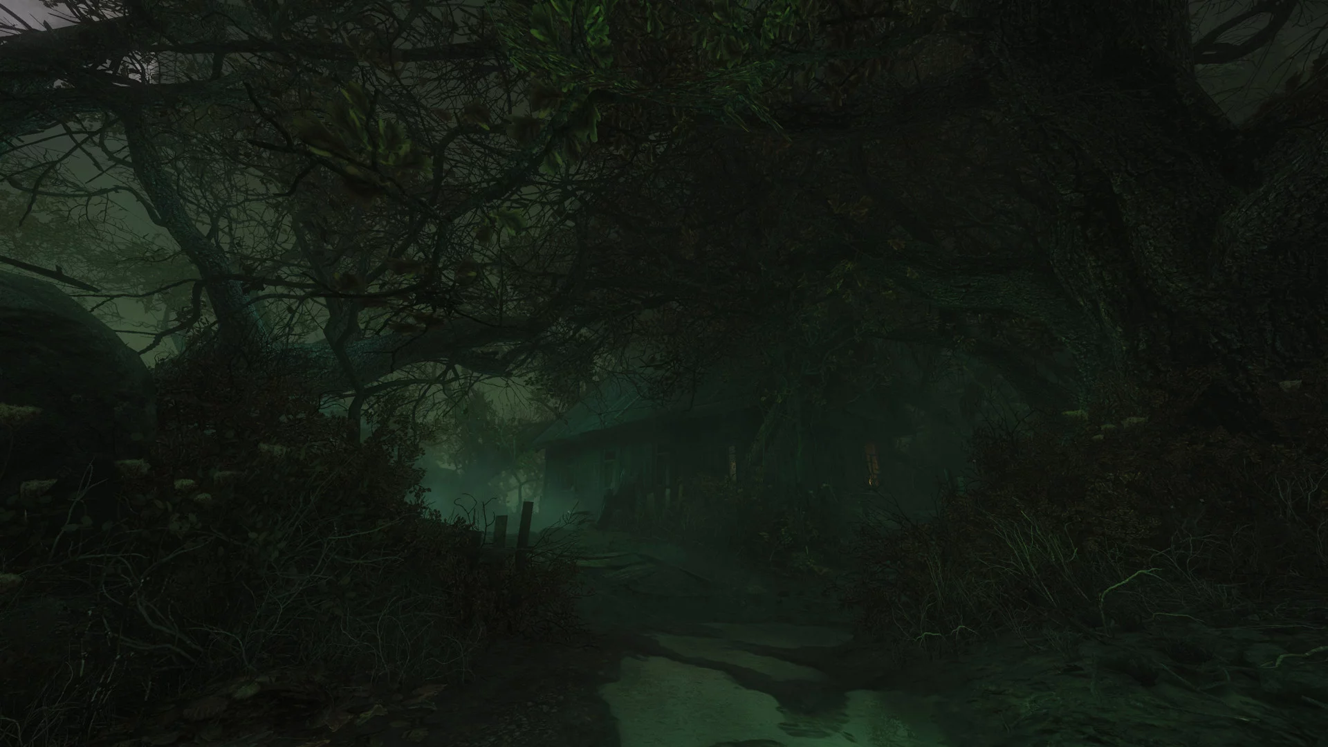 Изображение игры: The Cursed Forest