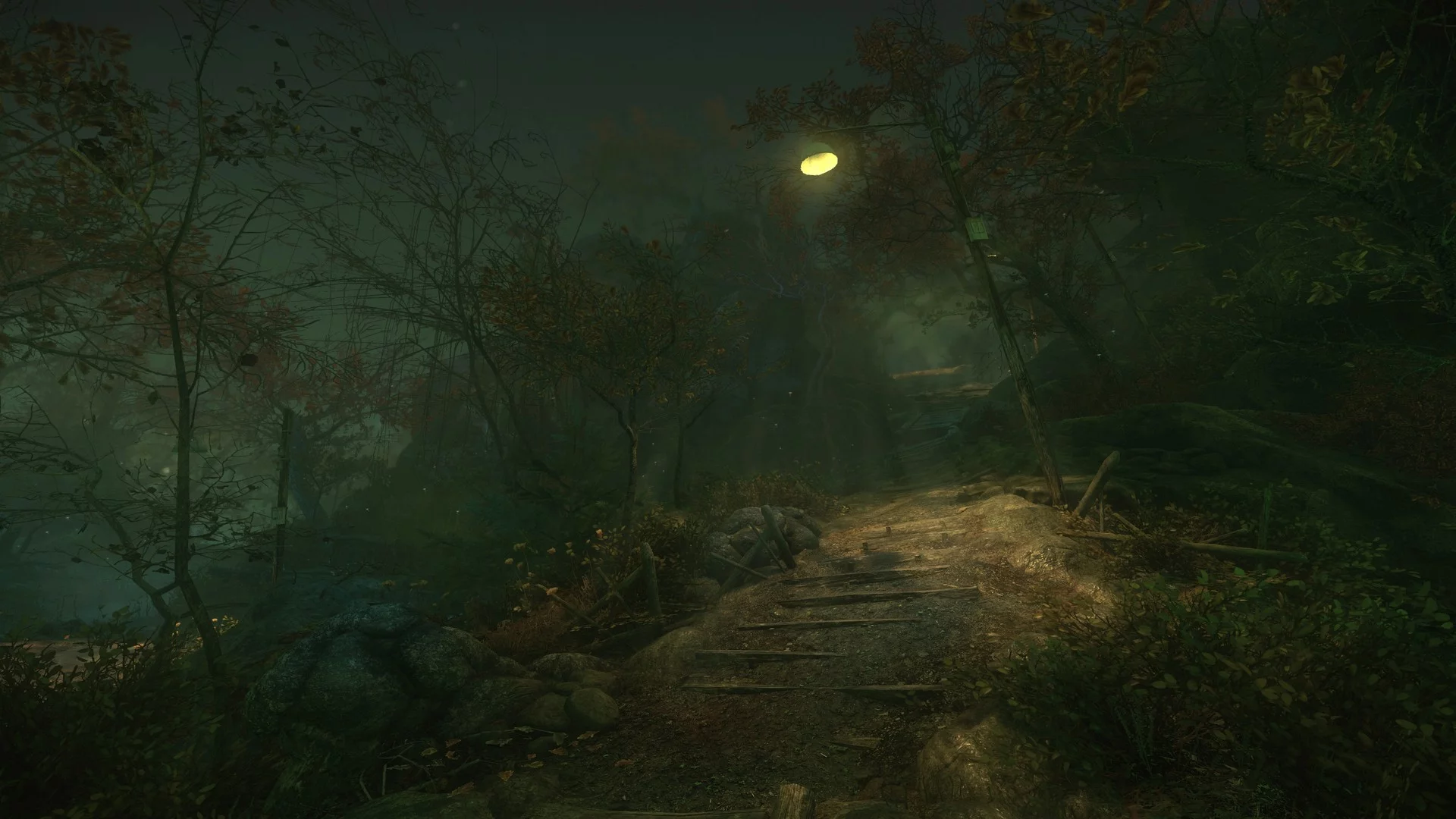 Изображение игры: The Cursed Forest