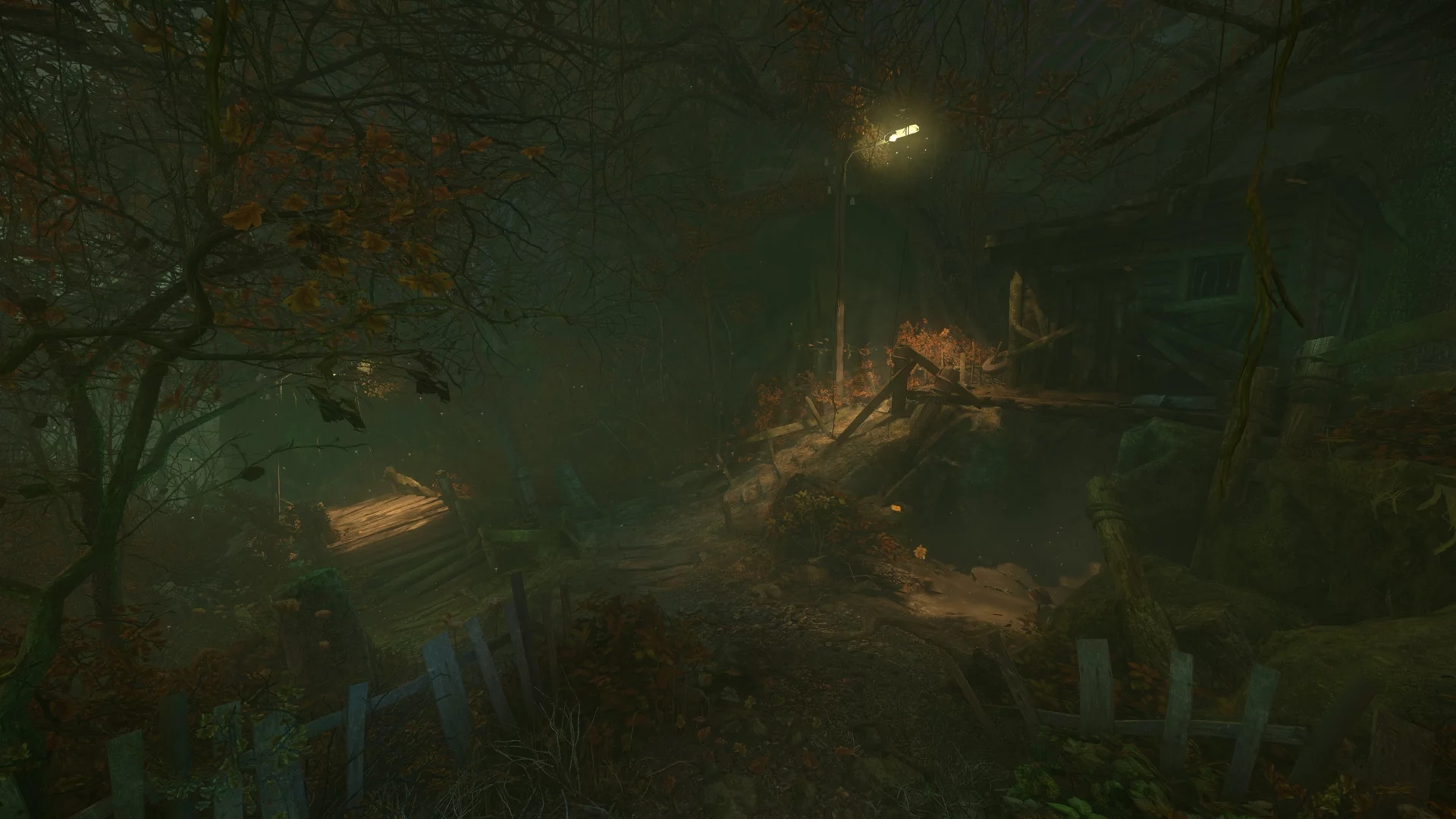 Изображение игры: The Cursed Forest