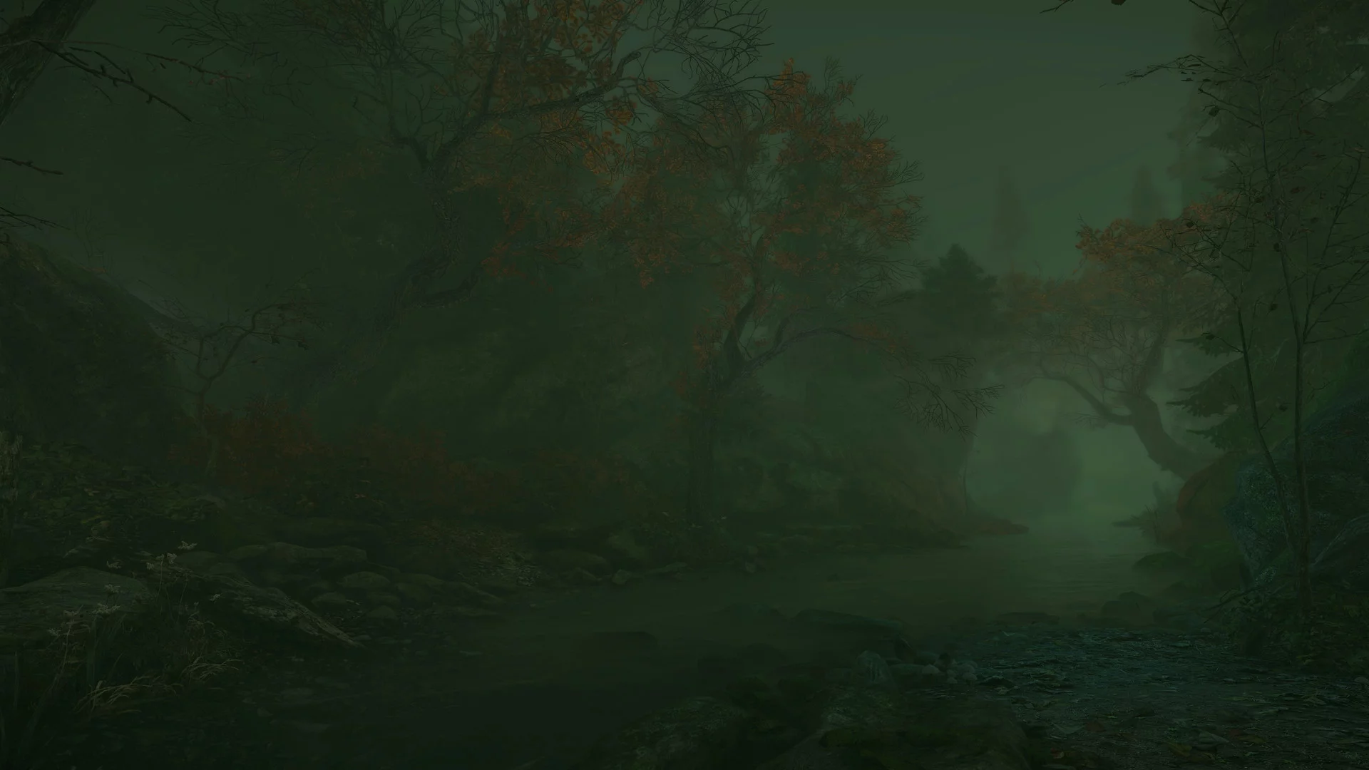 Изображение игры: The Cursed Forest