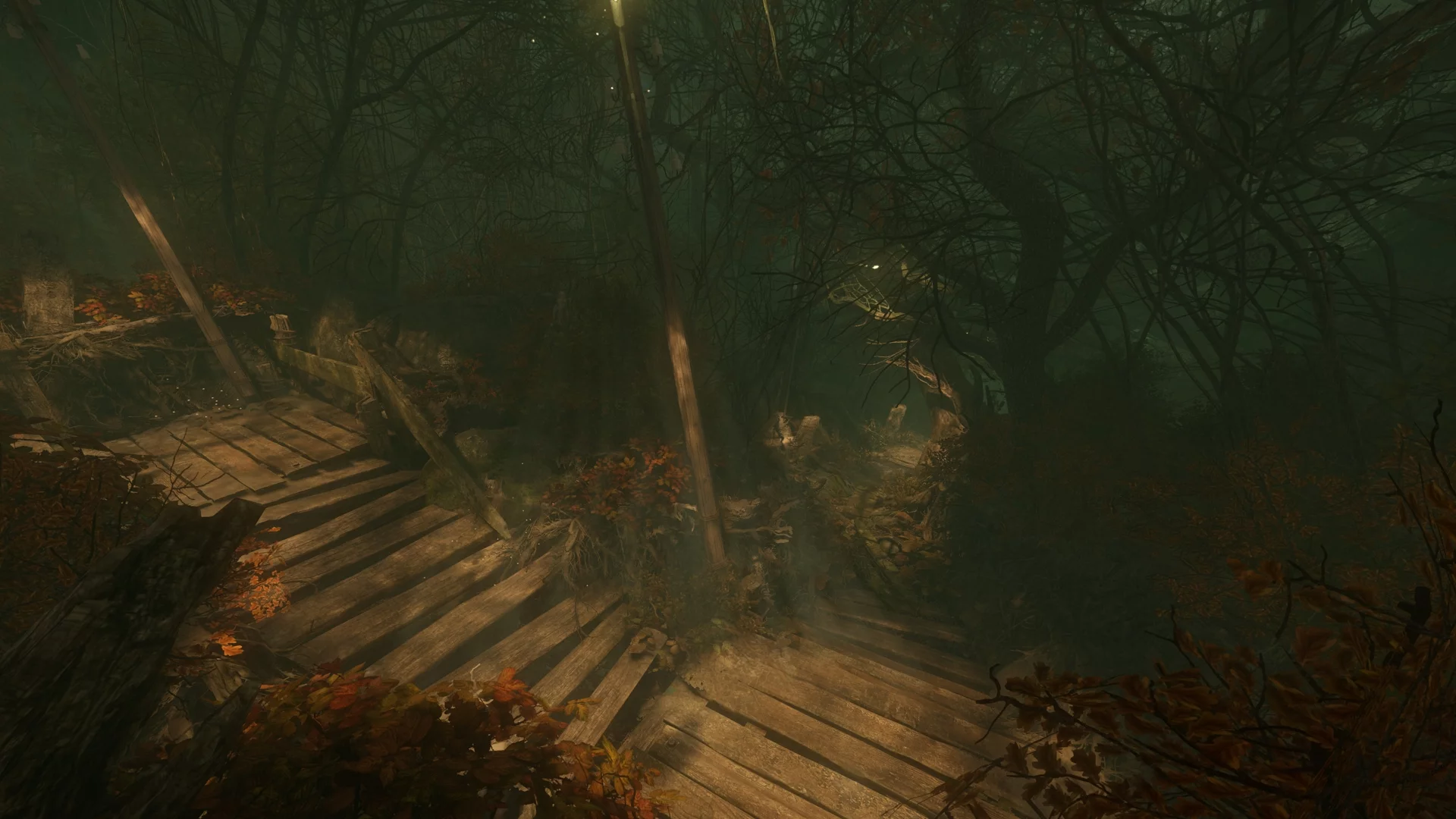 Изображение игры: The Cursed Forest