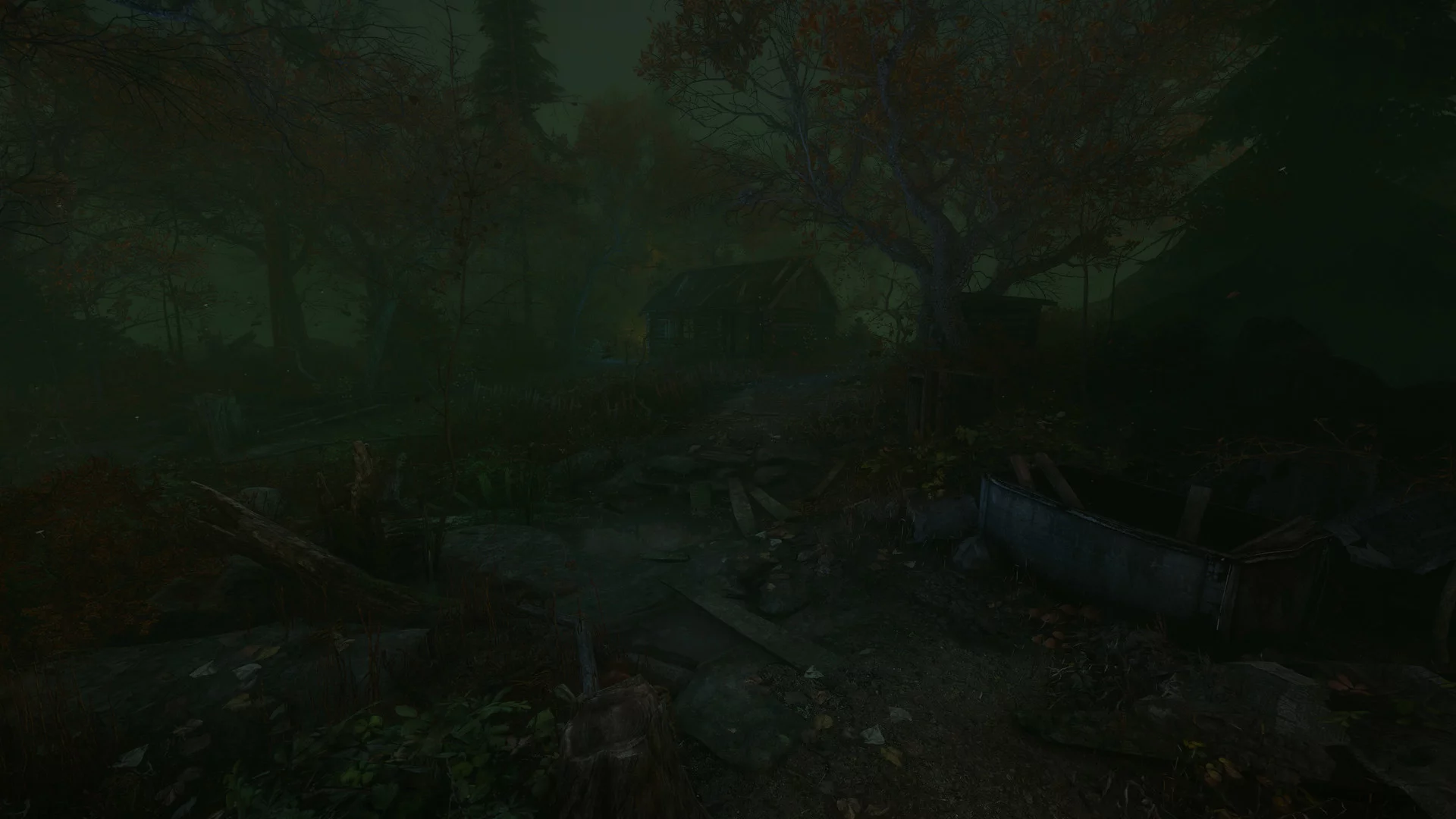Изображение игры: The Cursed Forest