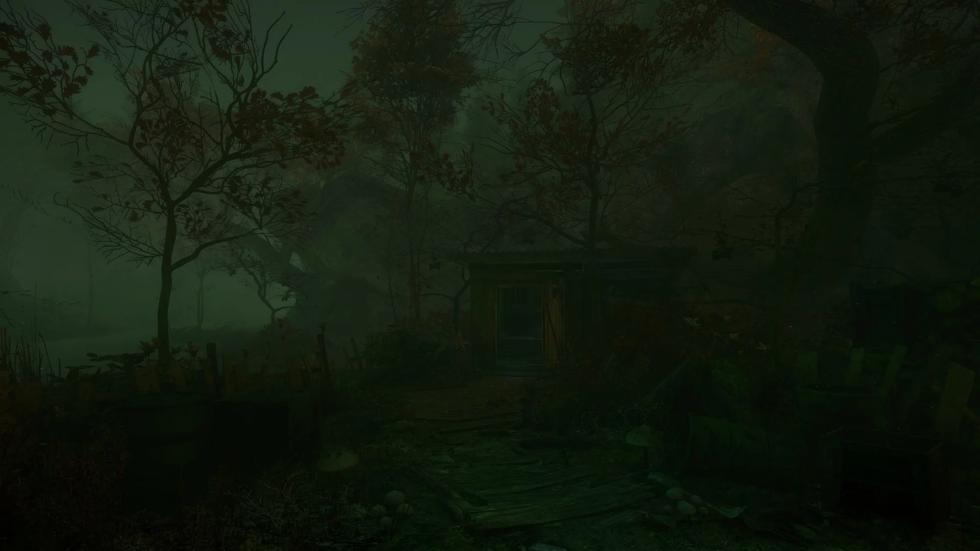 Изображение игры: The Cursed Forest