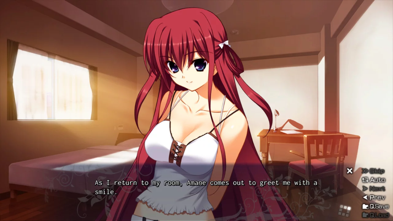Изображение игры: The Labyrinth of Grisaia