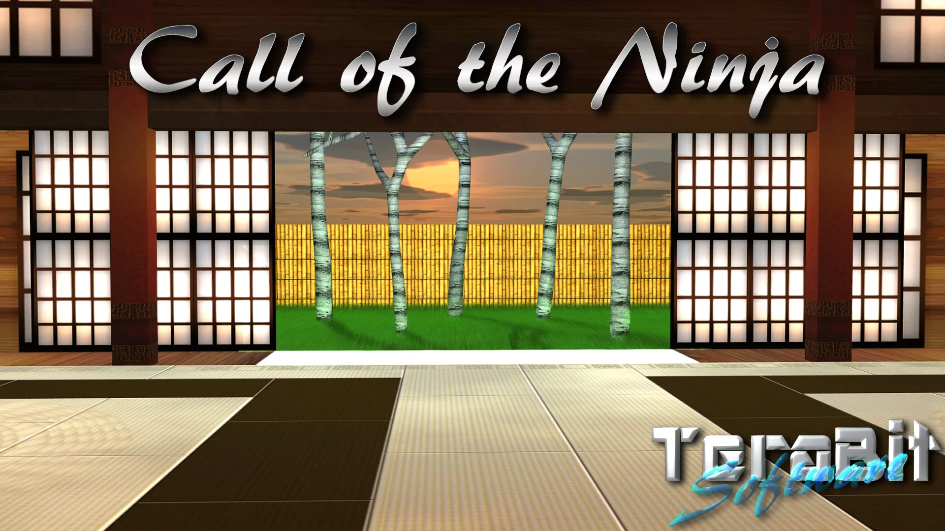 Изображение игры: Call of the Ninja!